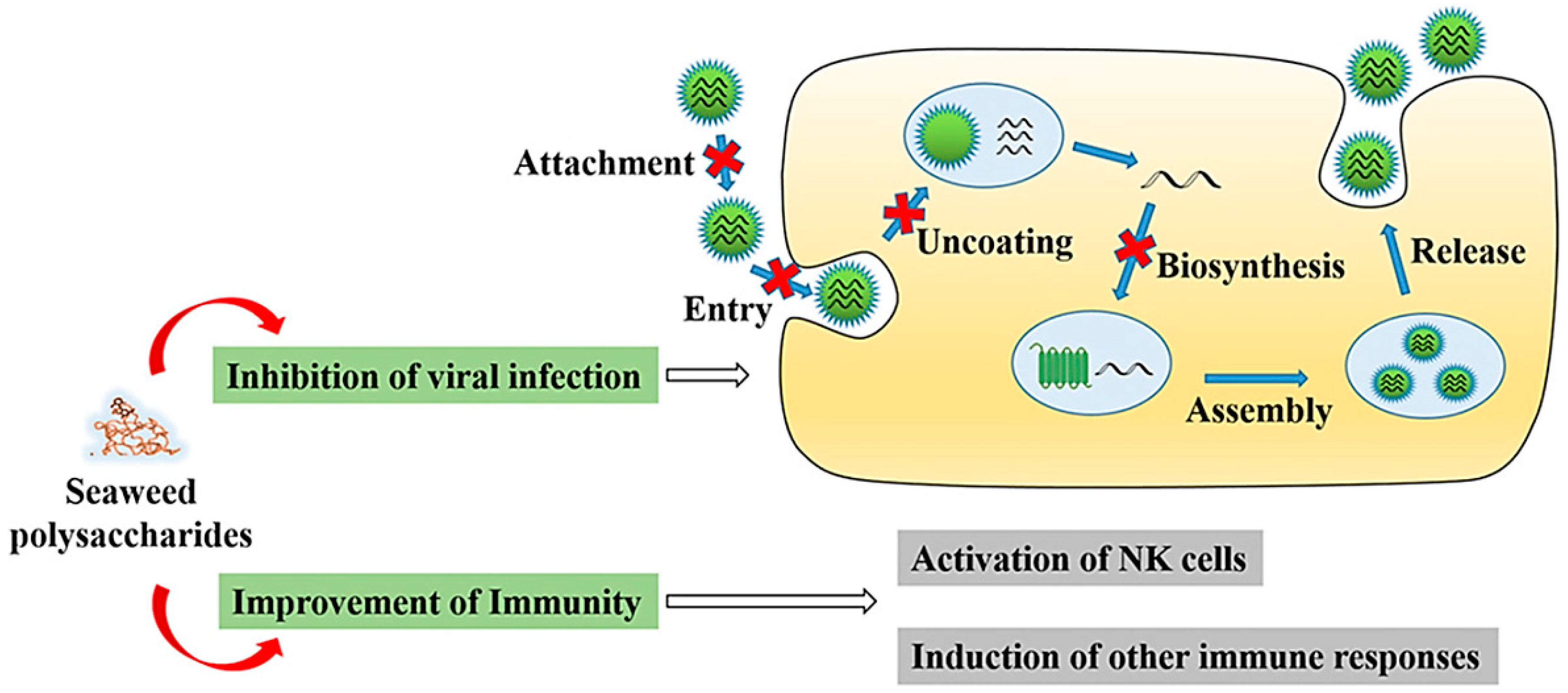 Applsci 11 03512 g001
