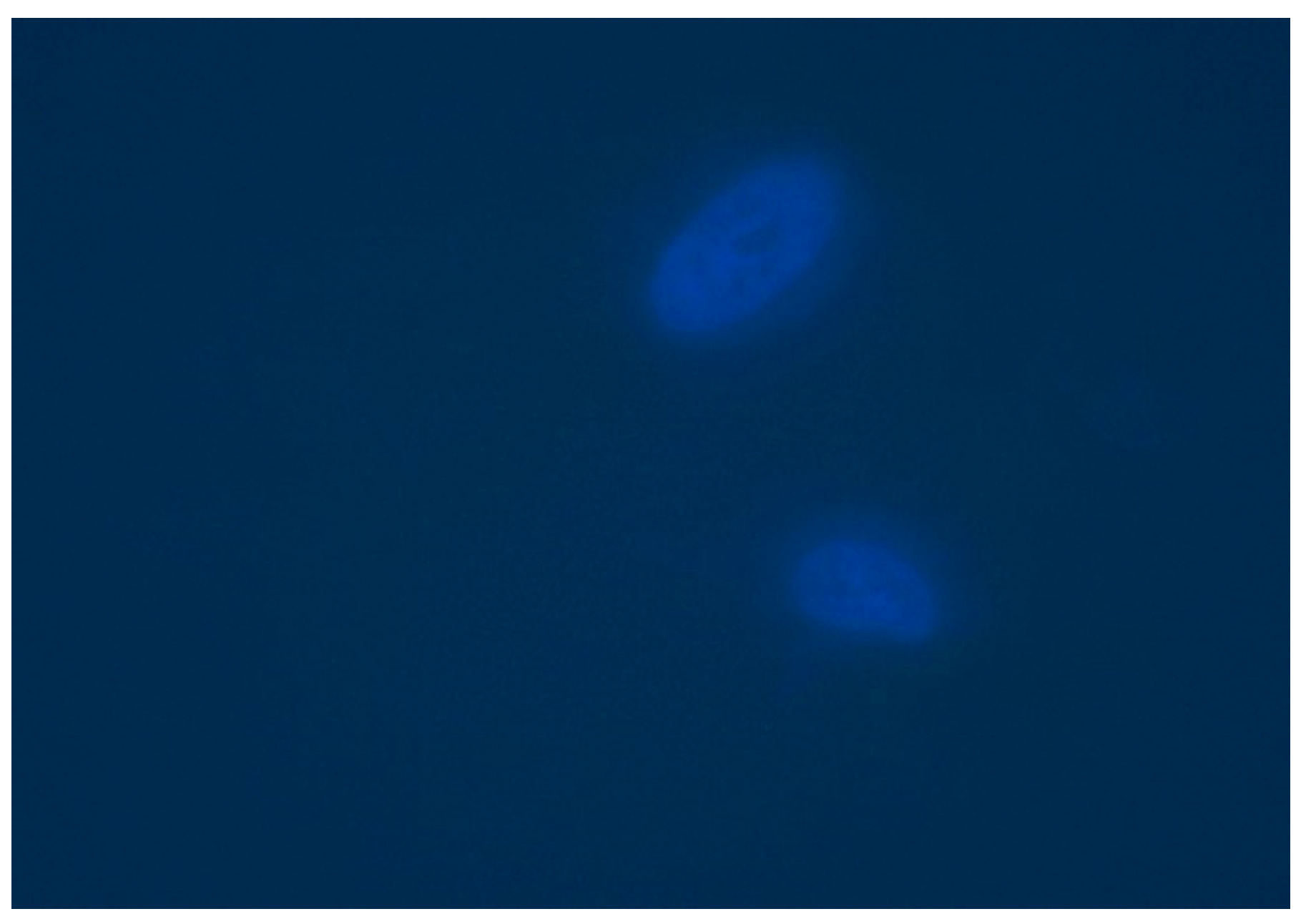 Applsci 11 03524 g009 Applsci 11 03524 g009