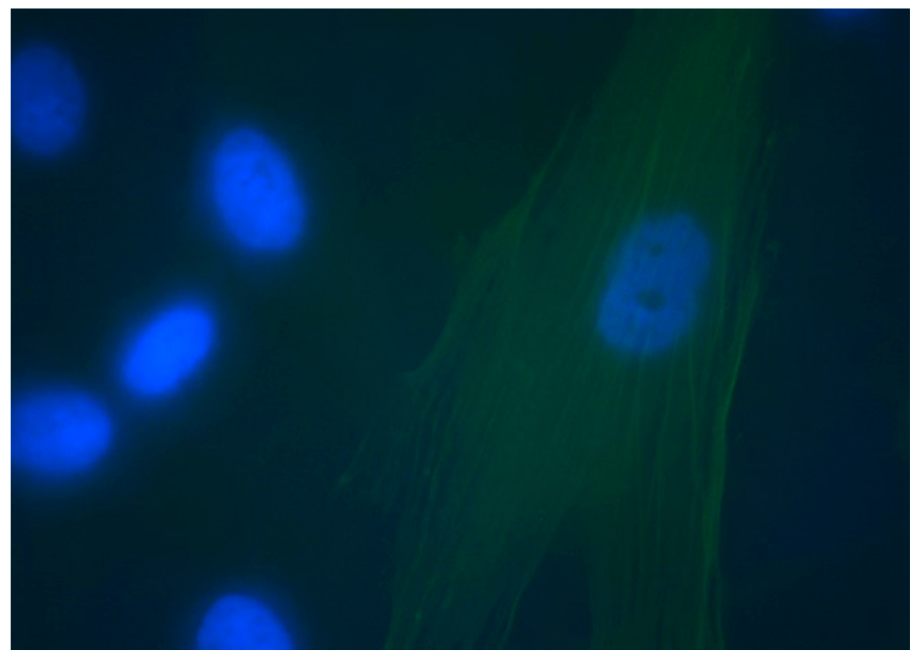 Applsci 11 03524 g010 Applsci 11 03524 g010