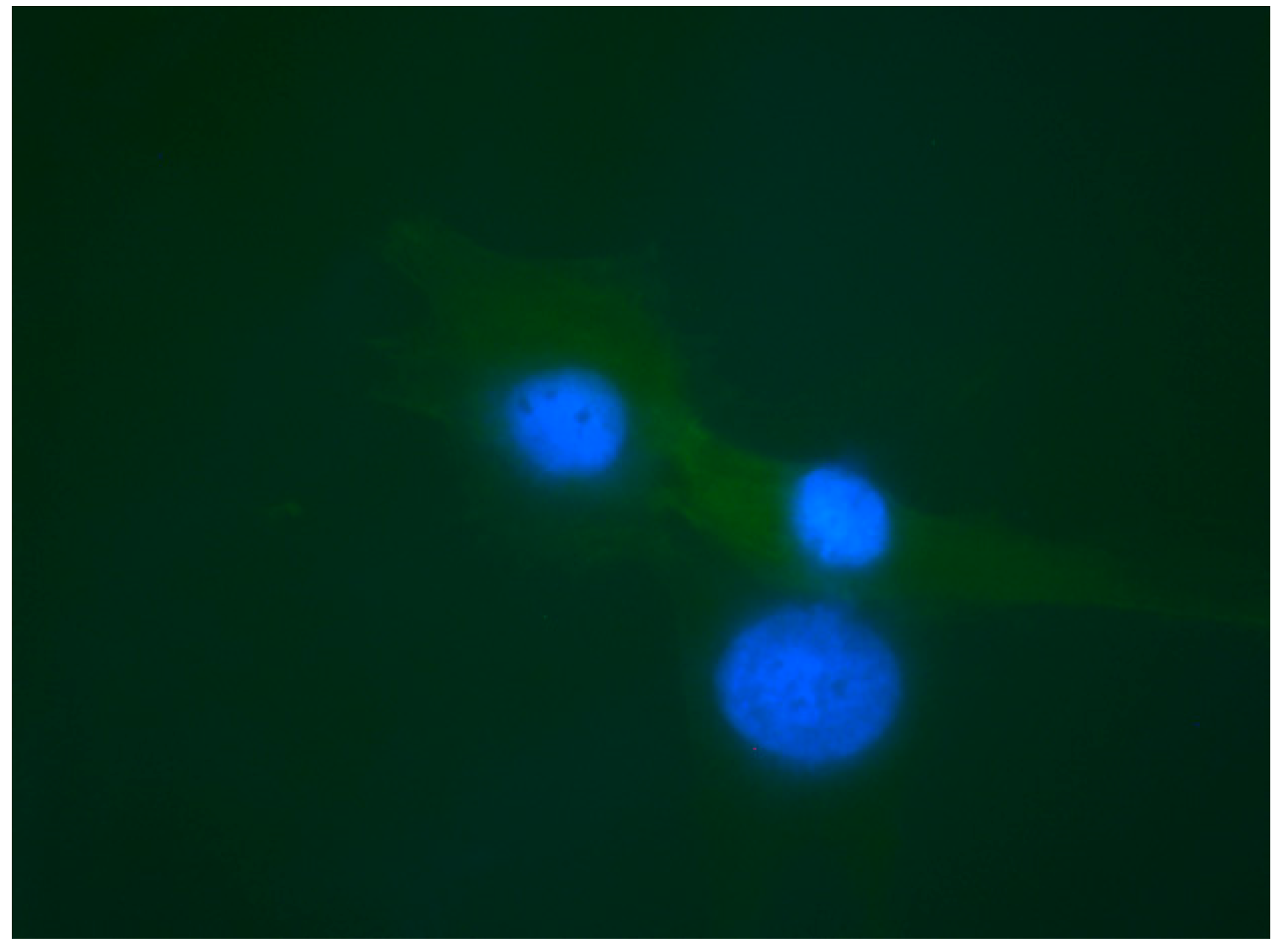 Applsci 11 03524 g011 Applsci 11 03524 g011