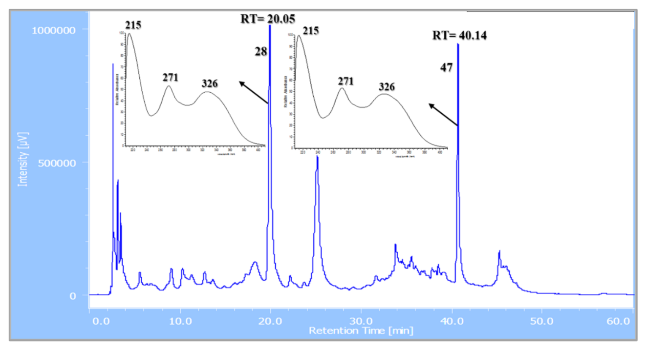 Applsci 11 03526 g008