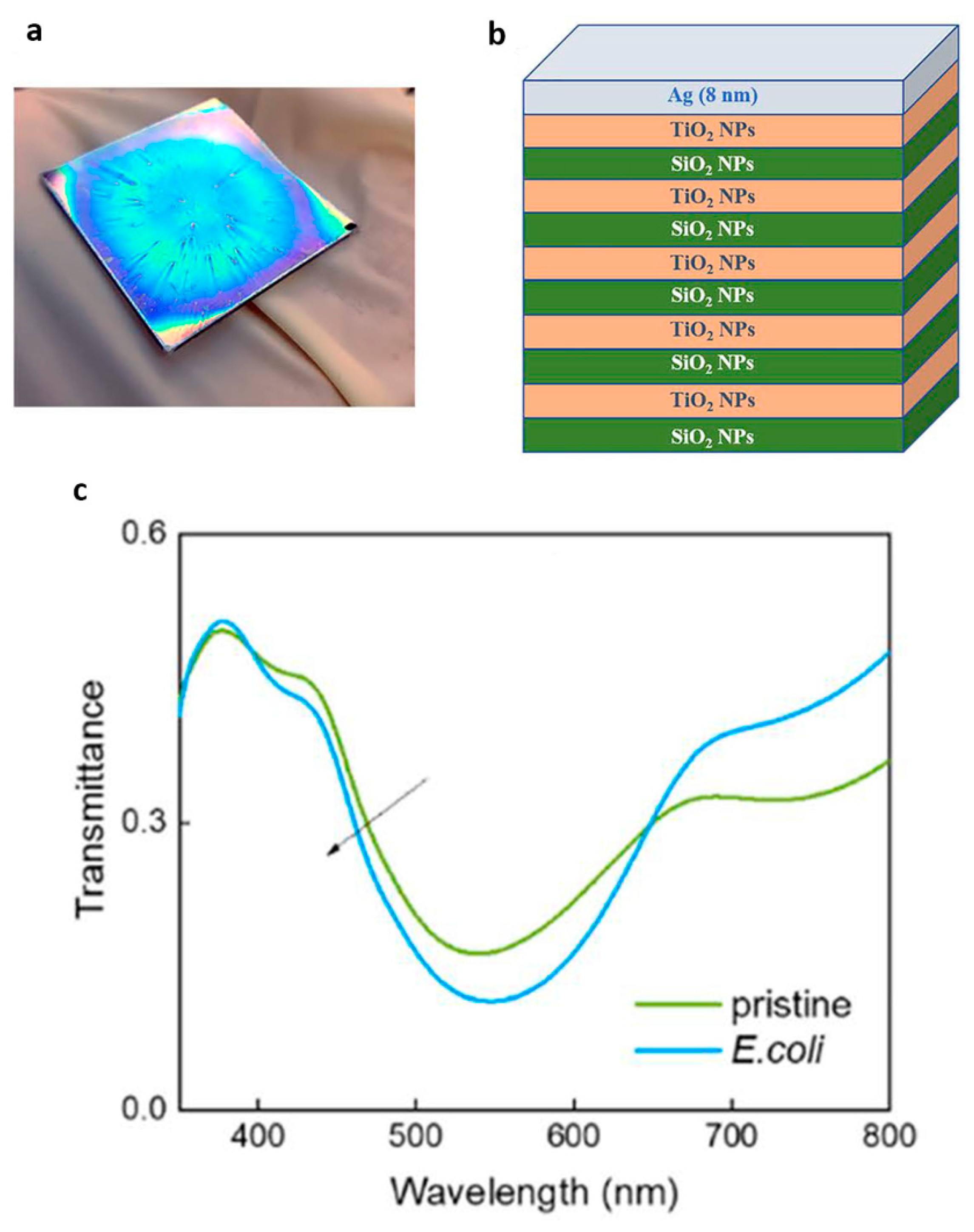 Applsci 11 03532 g006 Applsci 11 03532 g006
