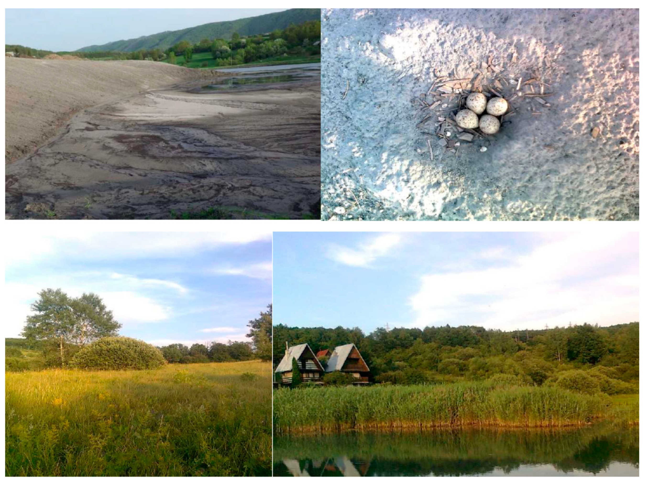 Applsci 11 03537 g002