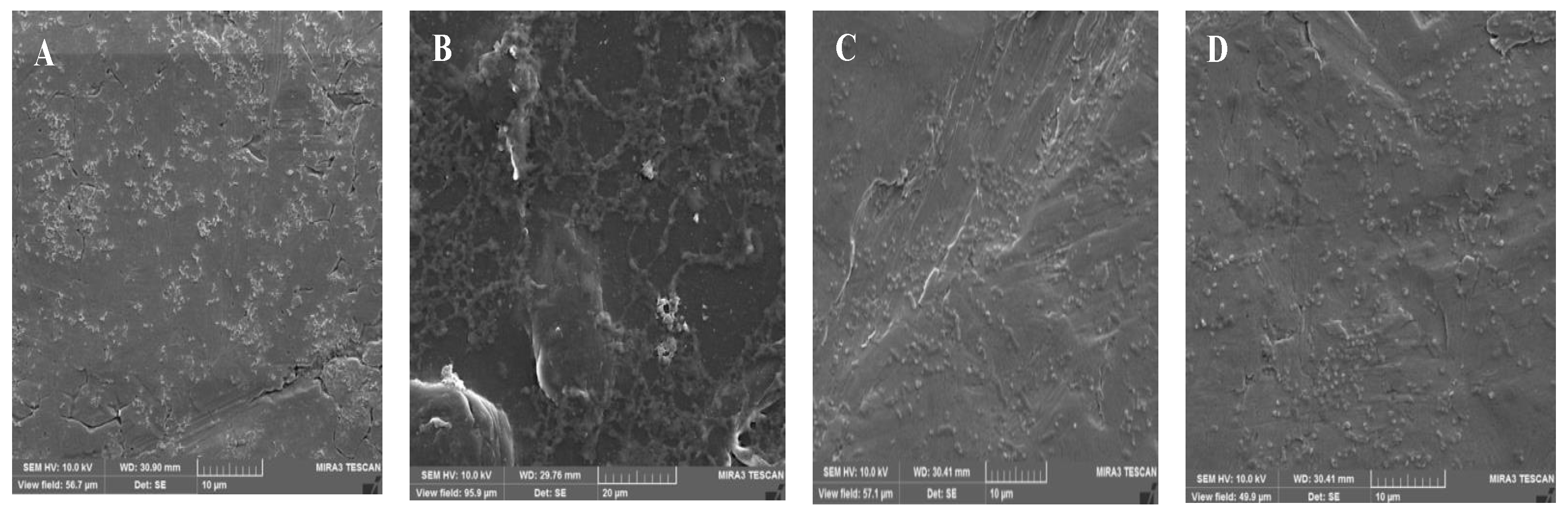 Applsci 11 03581 g003 Applsci 11 03581 g003