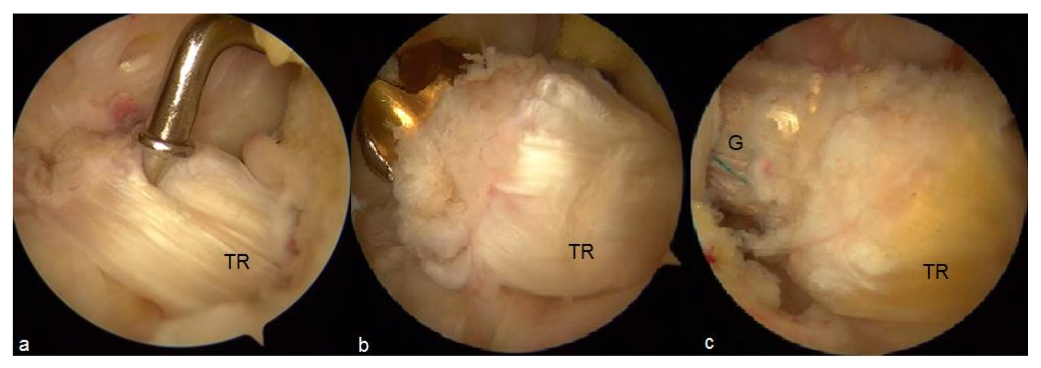 Applsci 11 03597 g001 Applsci 11 03597 g001