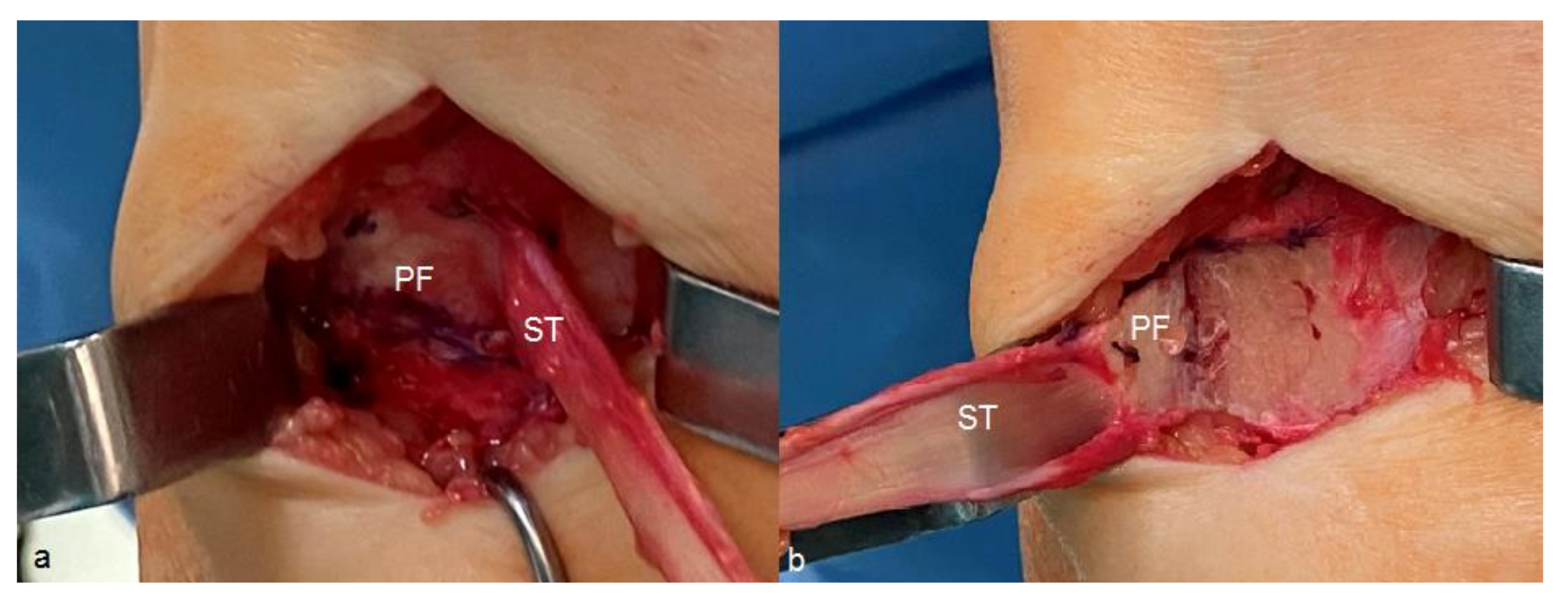 Applsci 11 03597 g002 Applsci 11 03597 g002