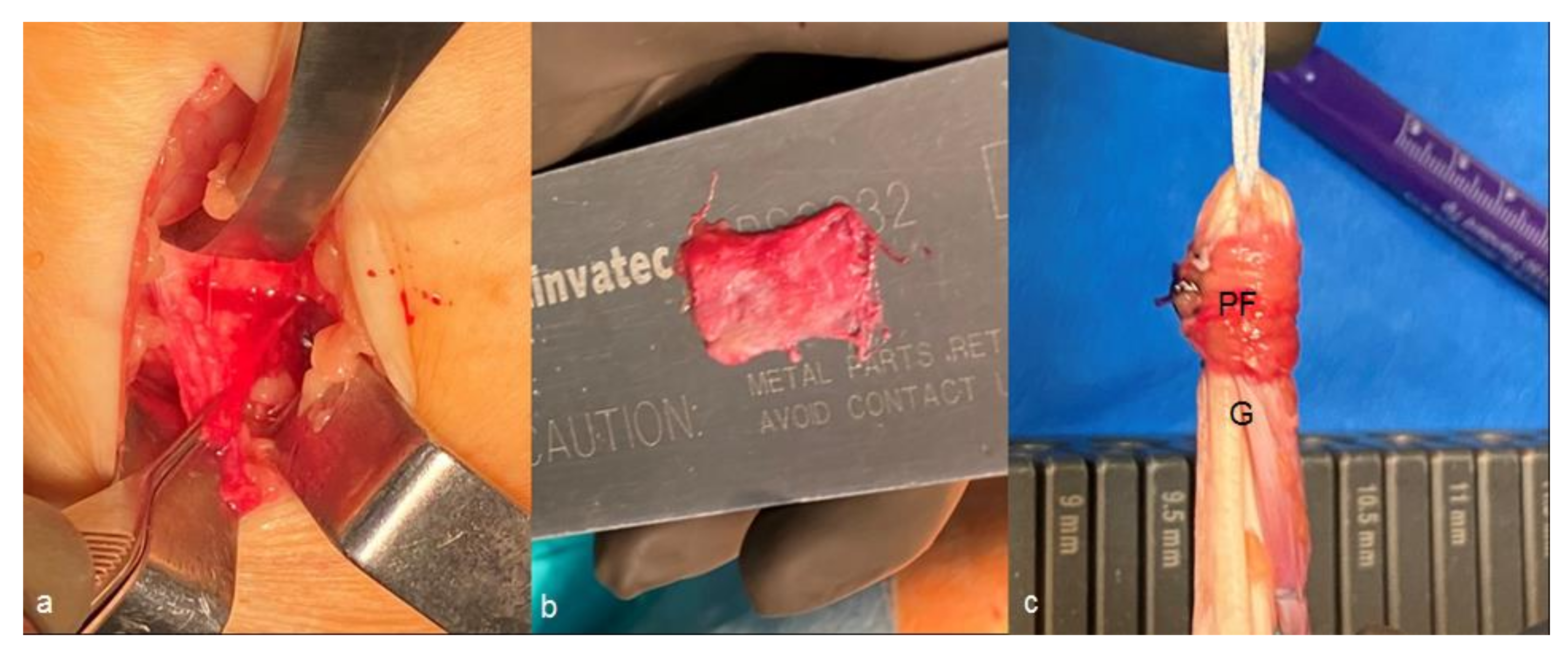 Applsci 11 03597 g003 Applsci 11 03597 g003