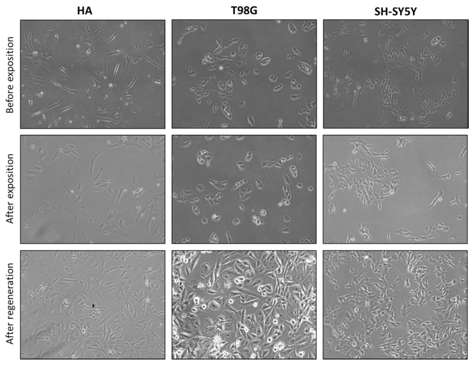 Applsci 11 03611 g010