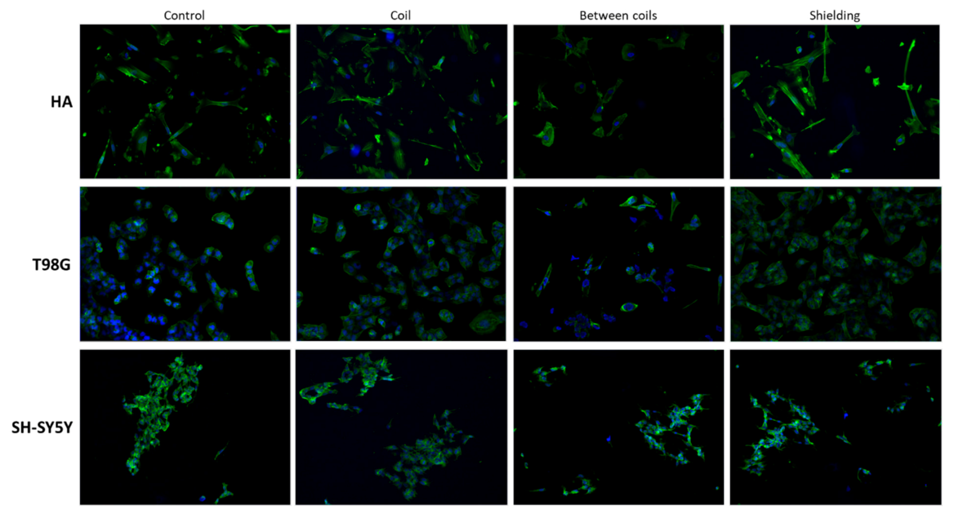 Applsci 11 03611 g012