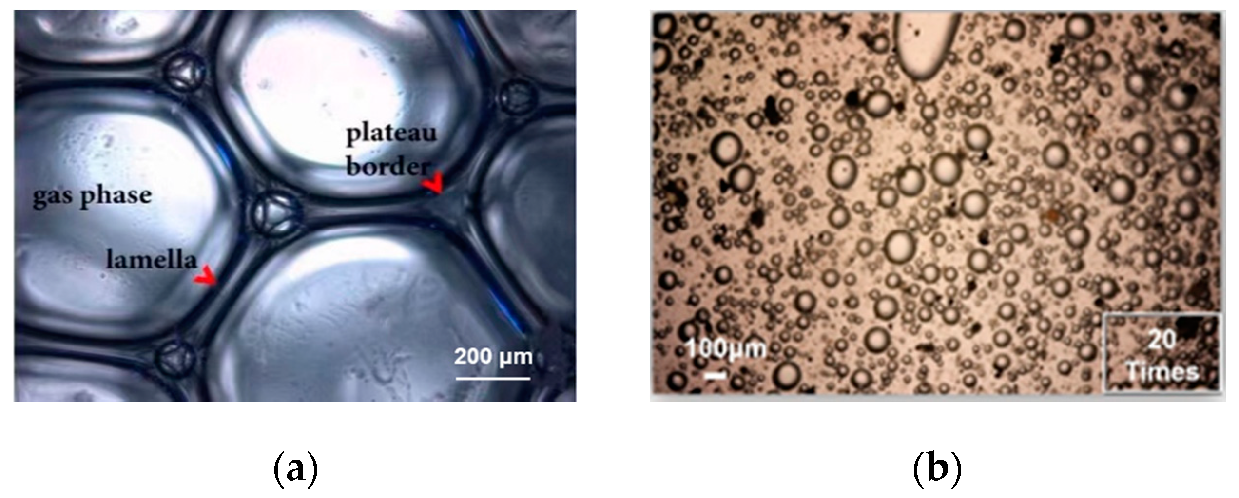 Applsci 11 03616 g004 Applsci 11 03616 g004