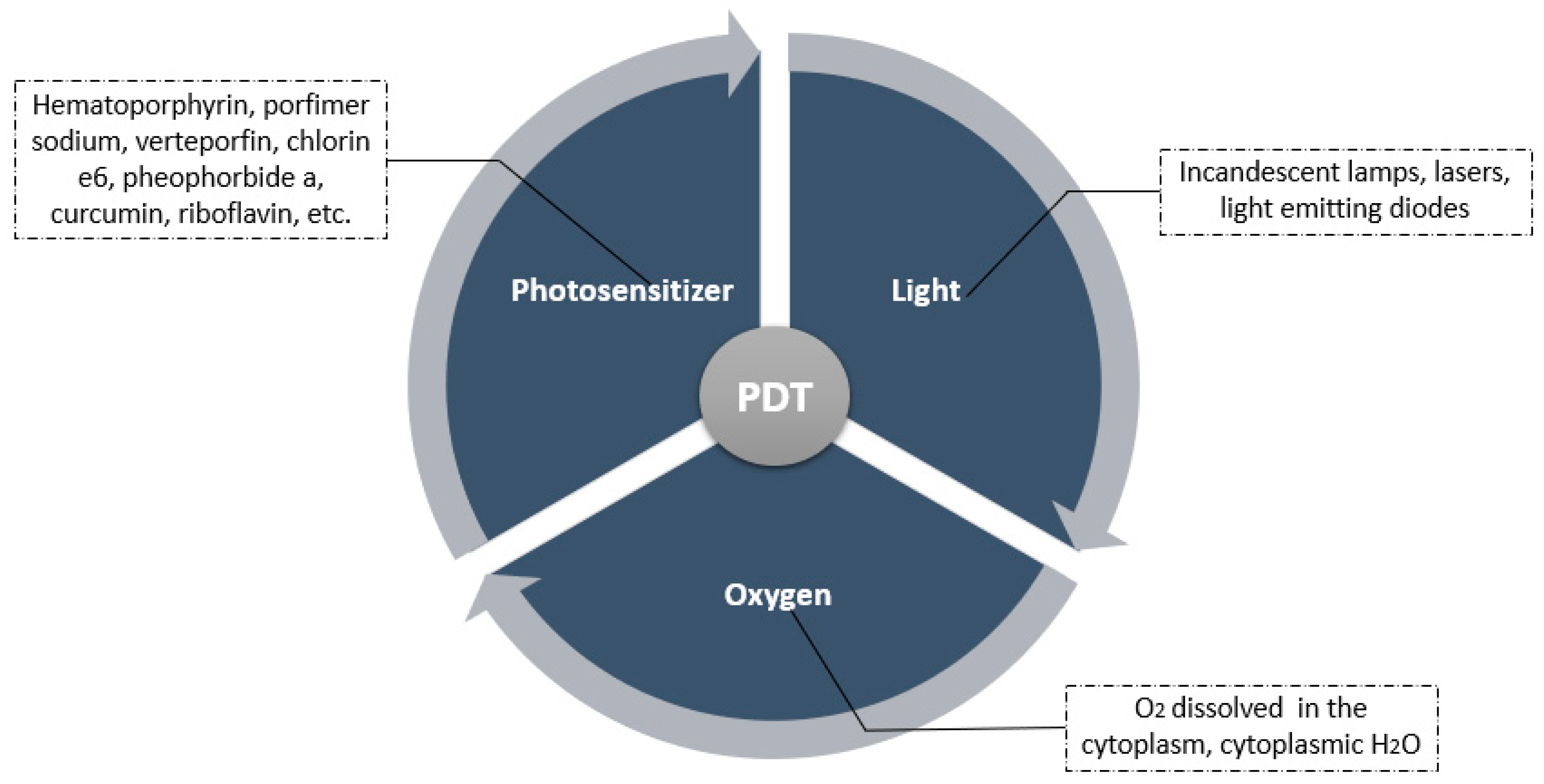 Applsci 11 03626 g001 Applsci 11 03626 g001