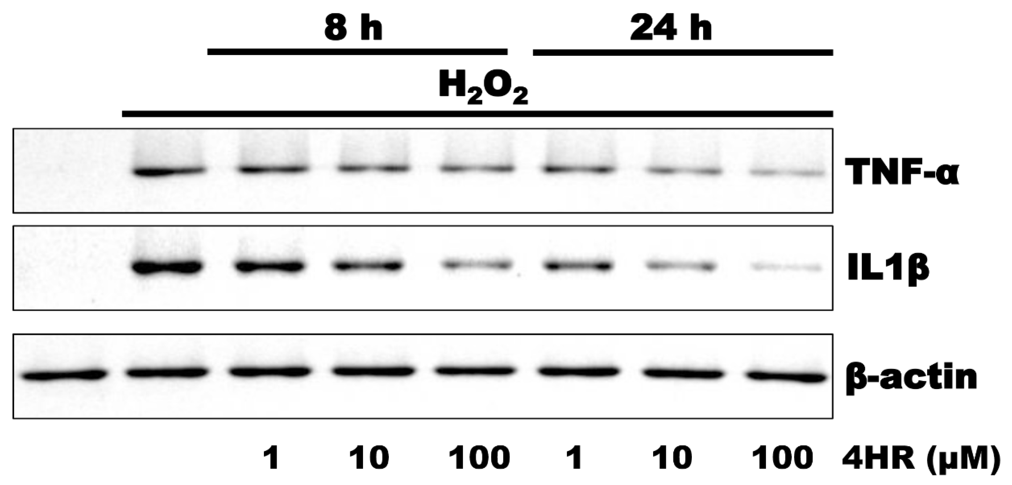 Applsci 11 03637 g002 Applsci 11 03637 g002