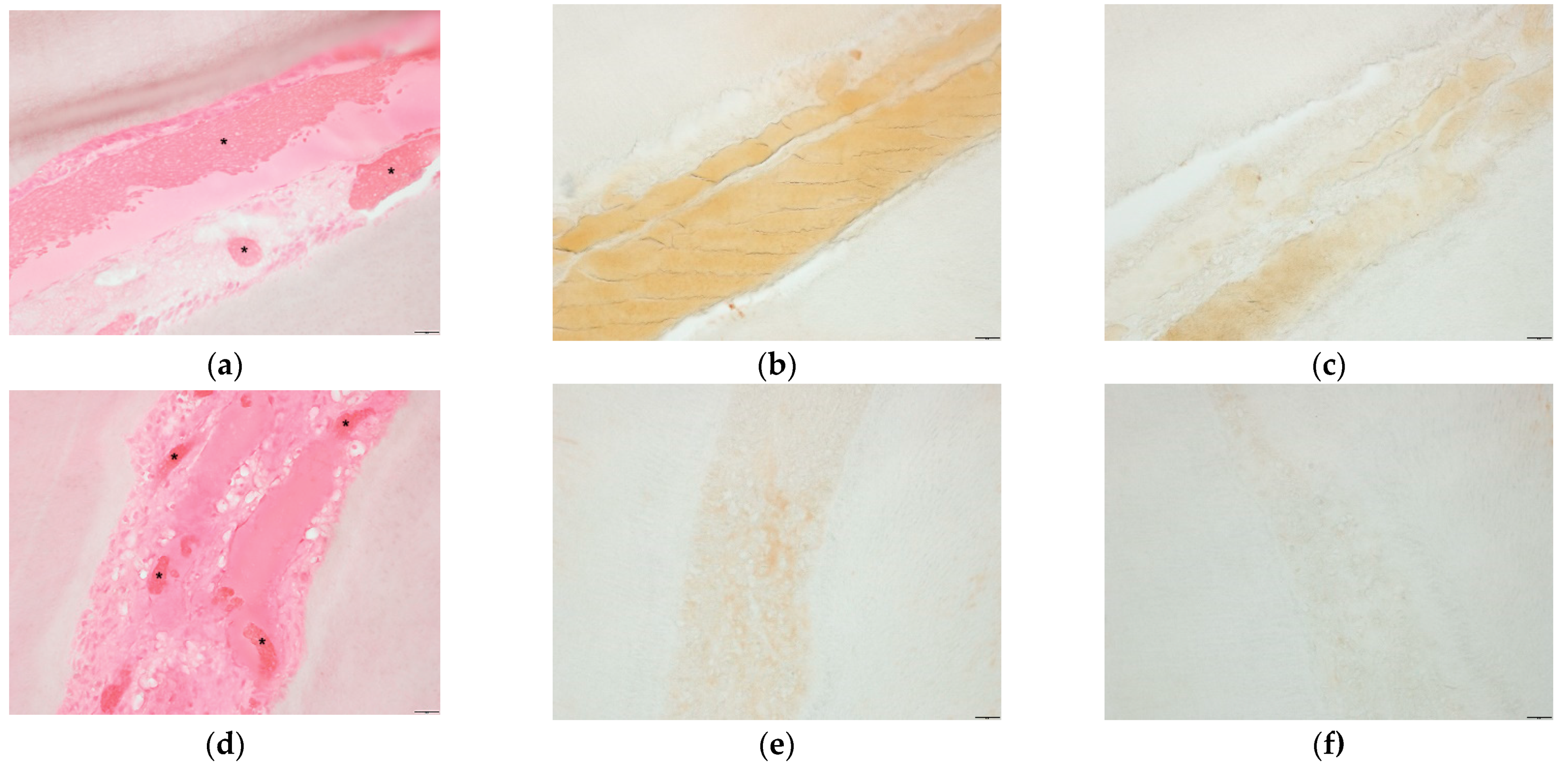 Applsci 11 03637 g003 Applsci 11 03637 g003