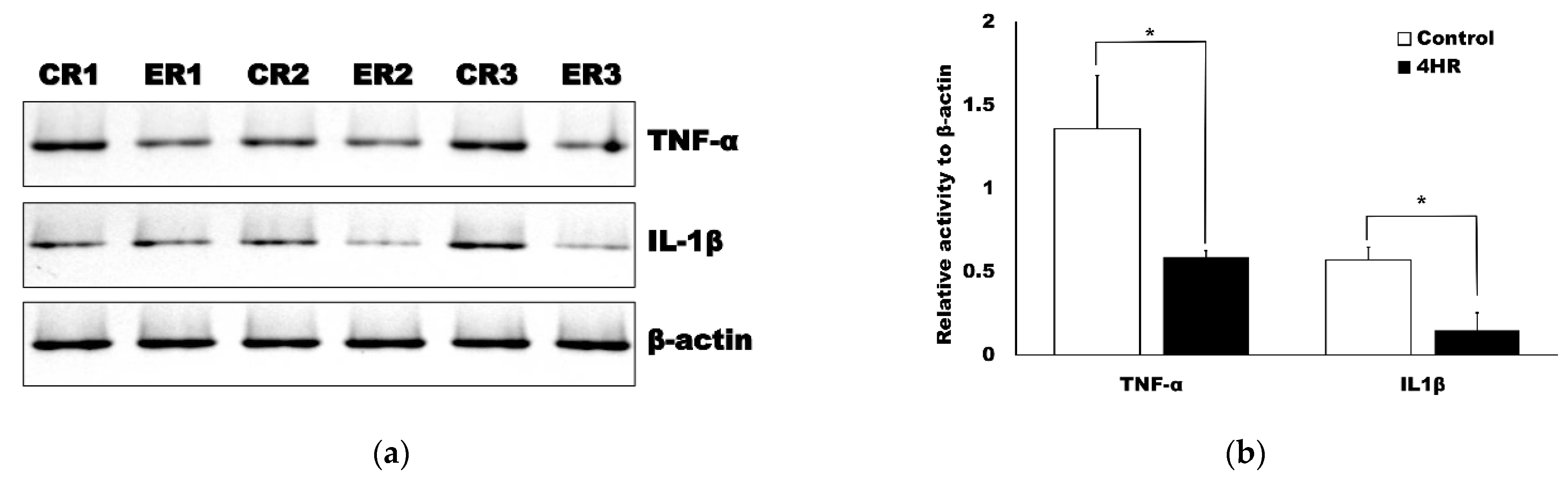 Applsci 11 03637 g004 Applsci 11 03637 g004