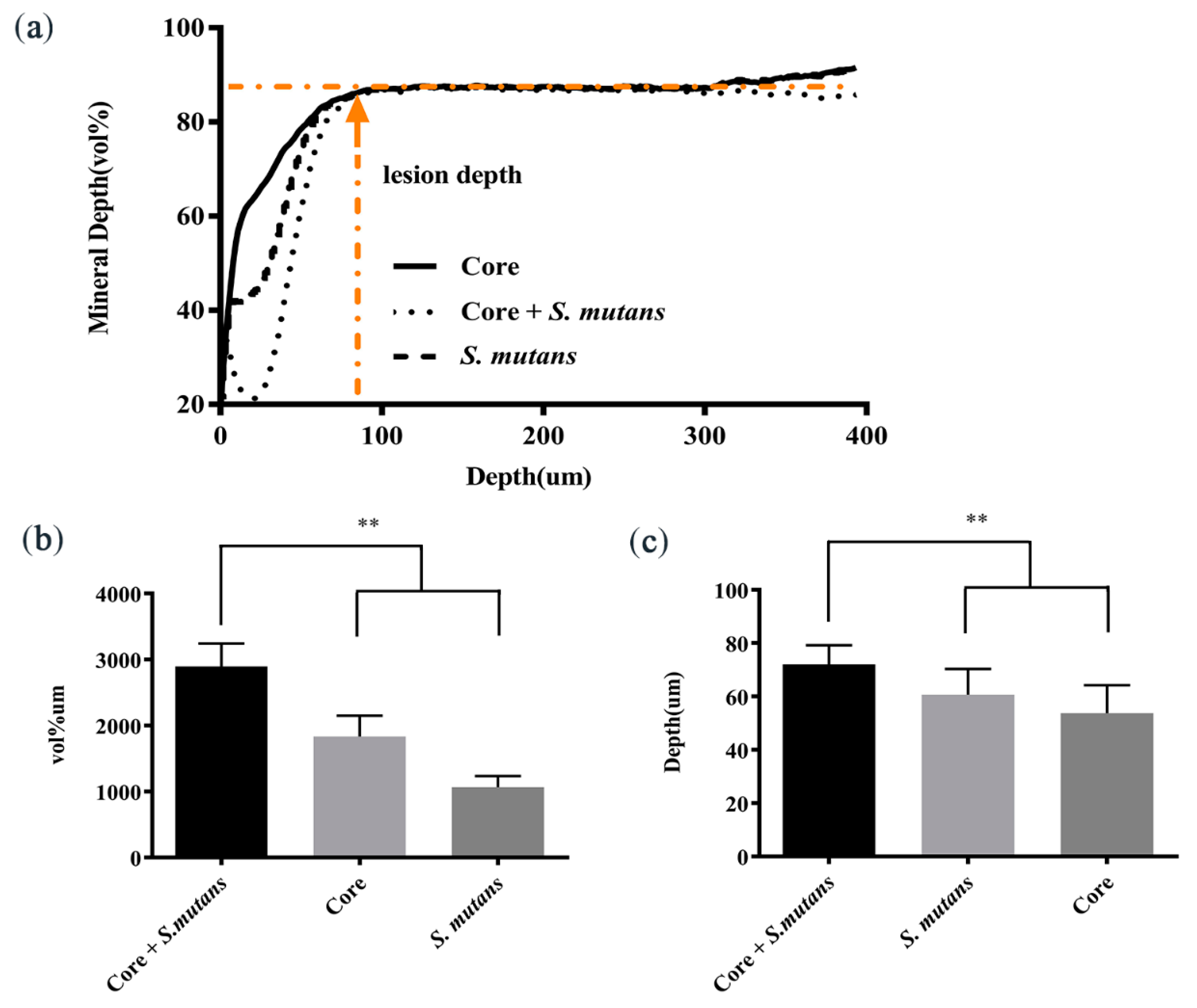 Applsci 11 03638 g003 Applsci 11 03638 g003