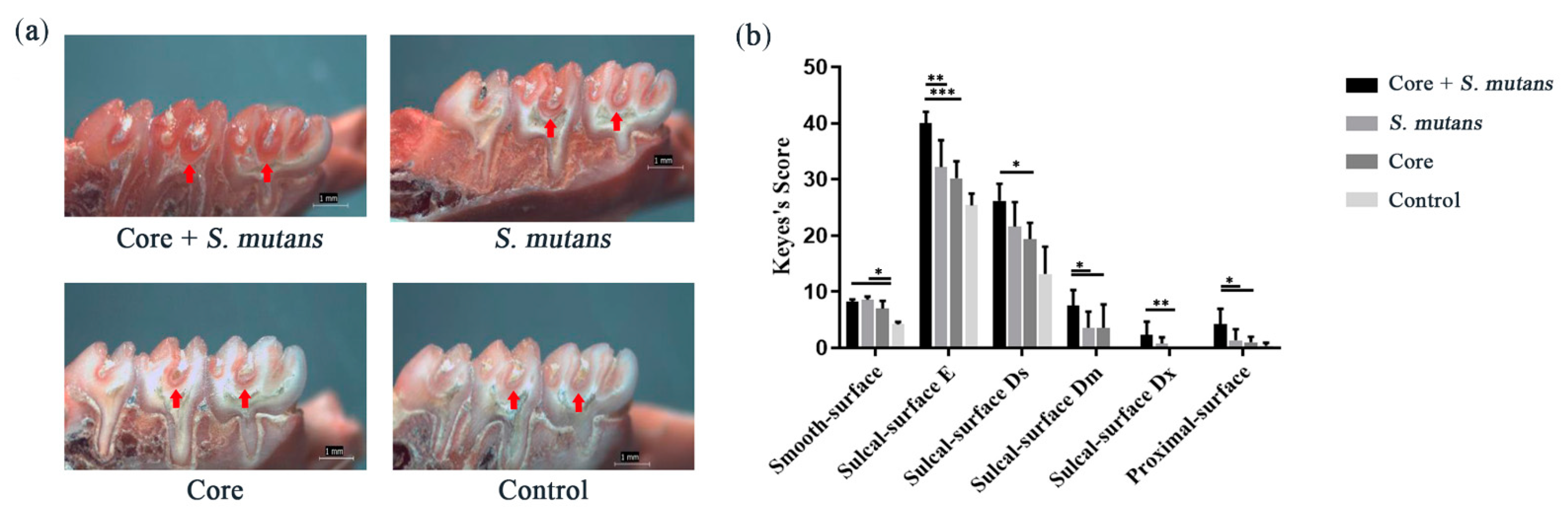Applsci 11 03638 g004 Applsci 11 03638 g004