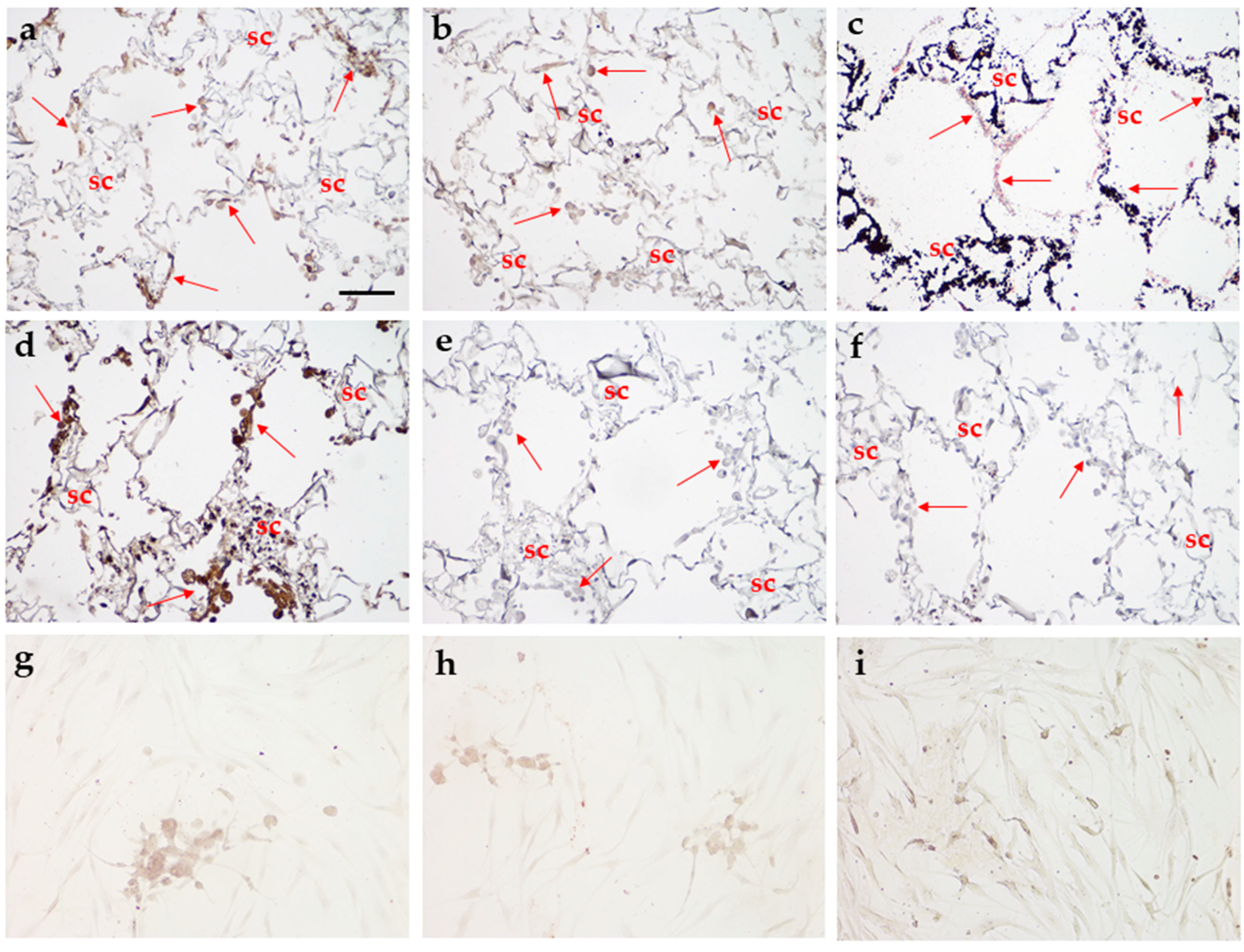 Applsci 11 03651 g005