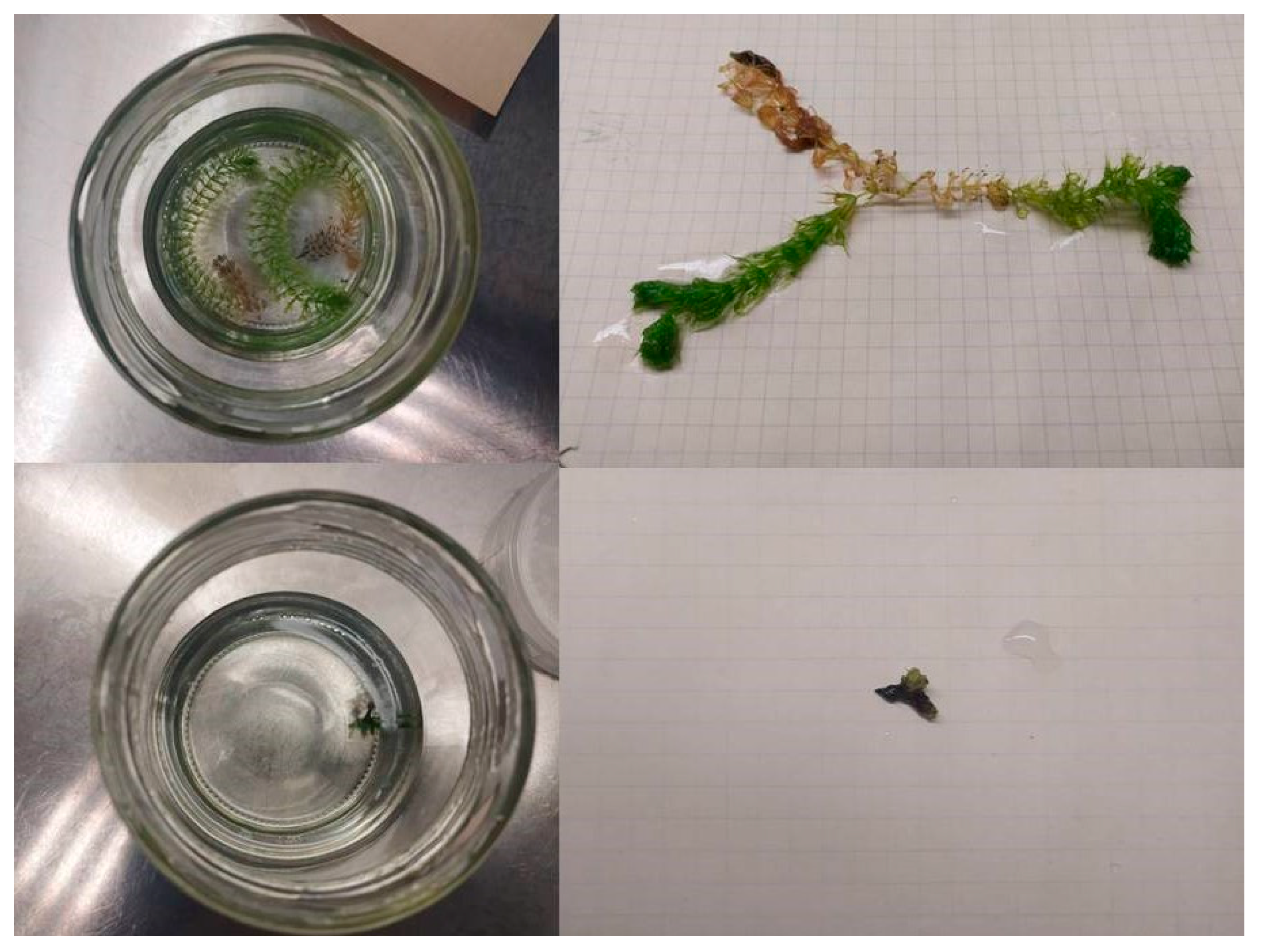 Applsci 11 03653 g003 Applsci 11 03653 g003