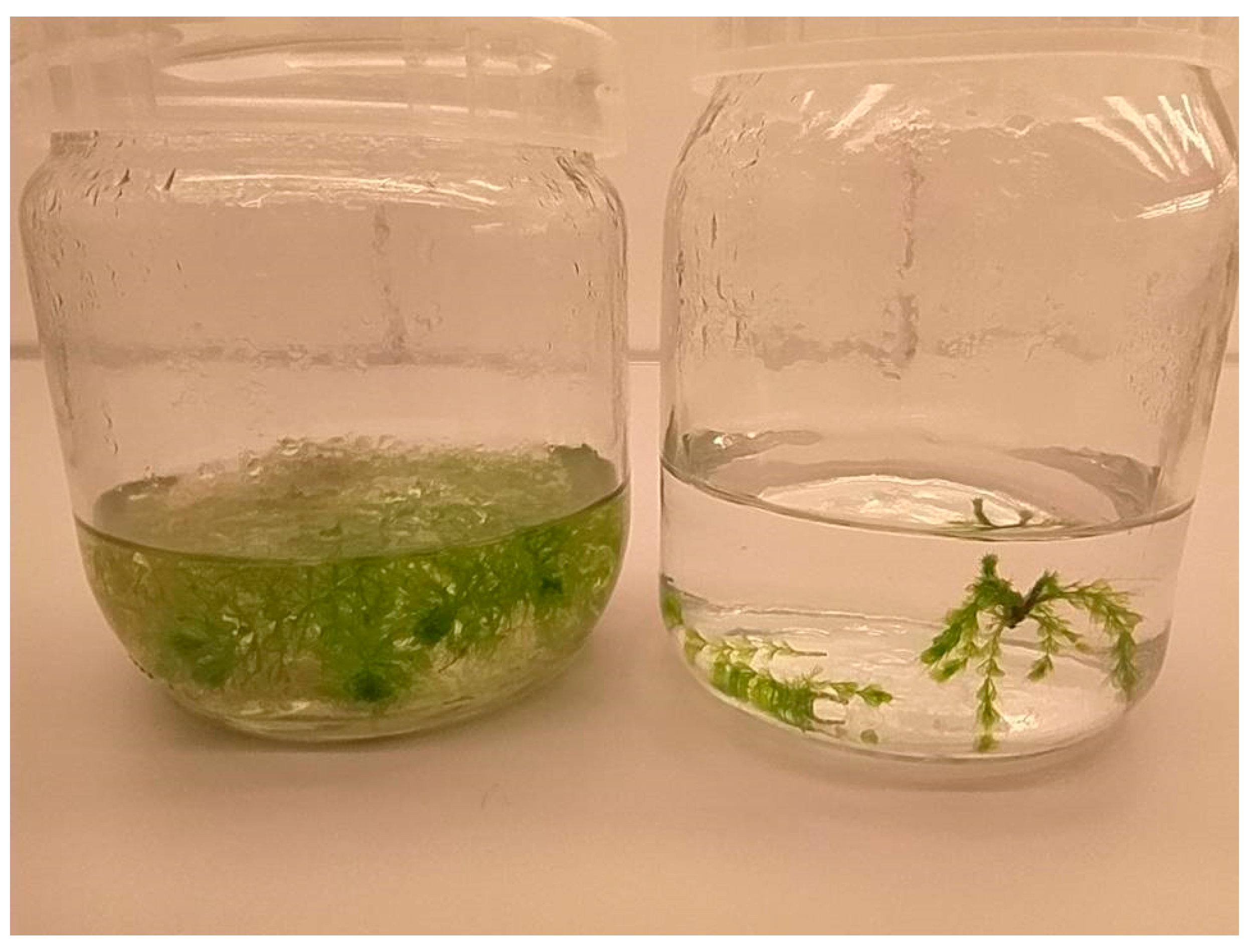 Applsci 11 03653 g004 Applsci 11 03653 g004