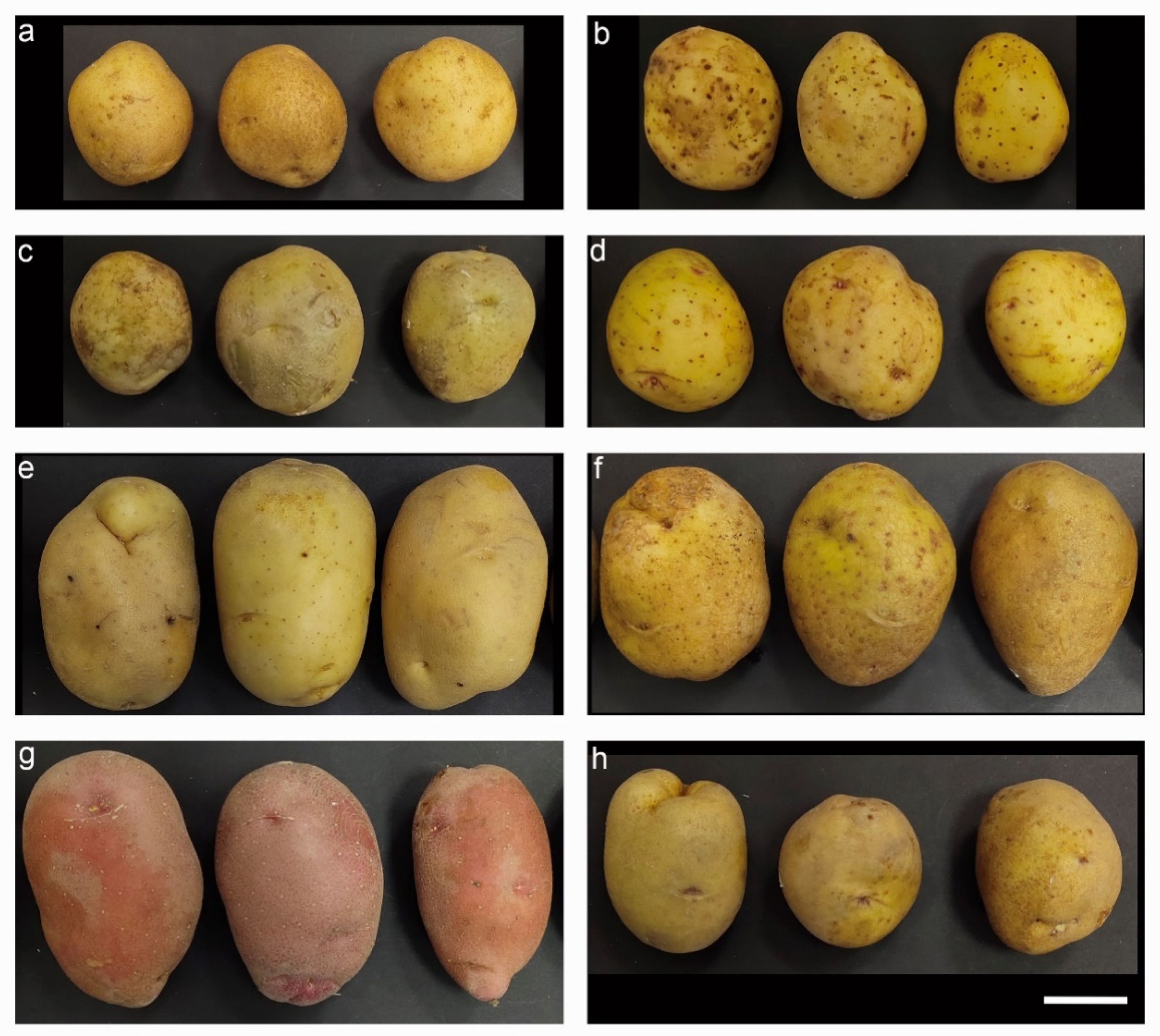 Applsci 11 03669 g001