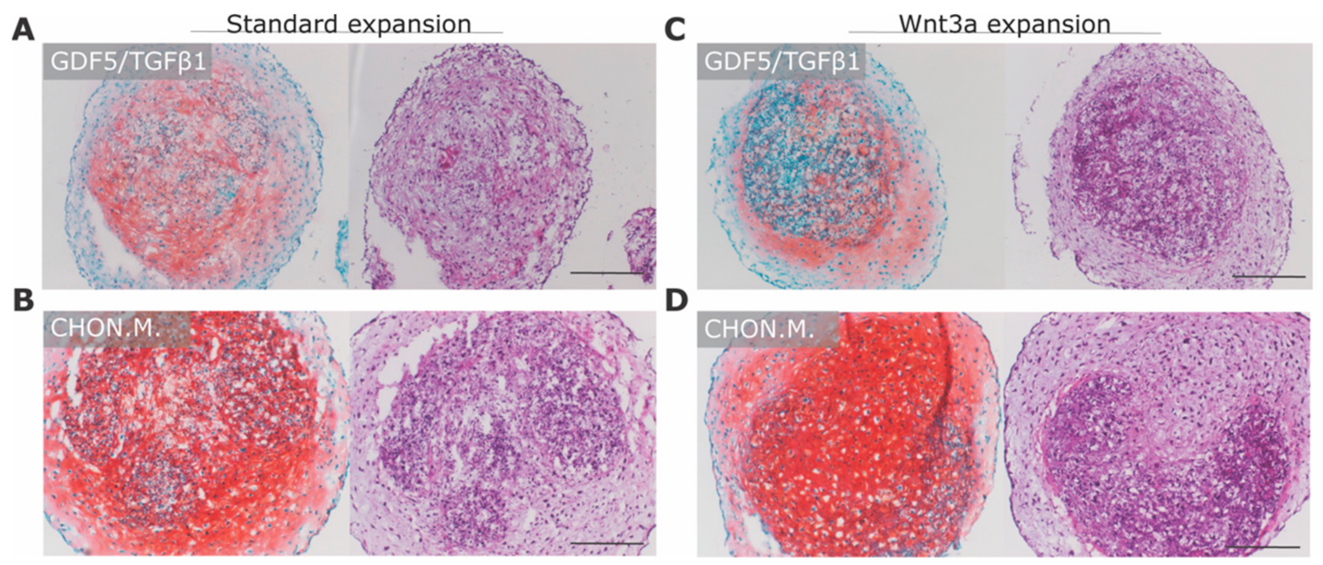 Applsci 11 03673 g005 Applsci 11 03673 g005
