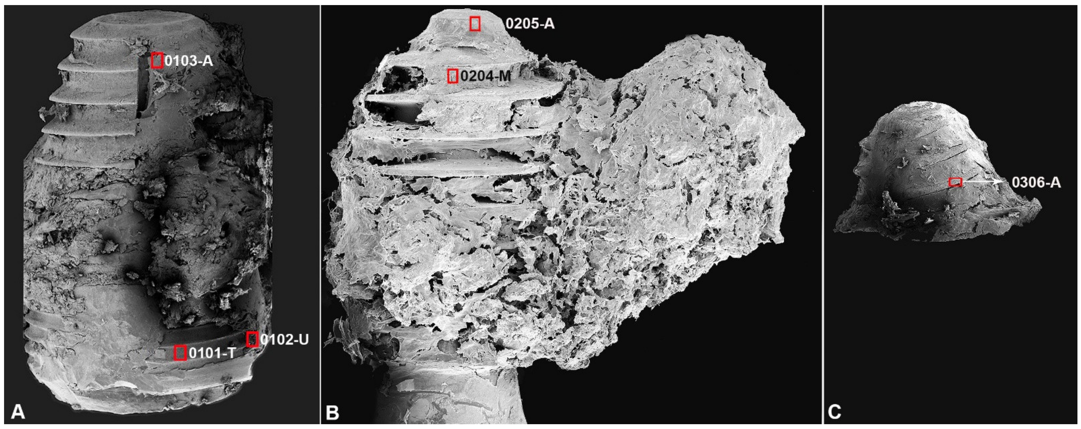 Applsci 11 03684 g004