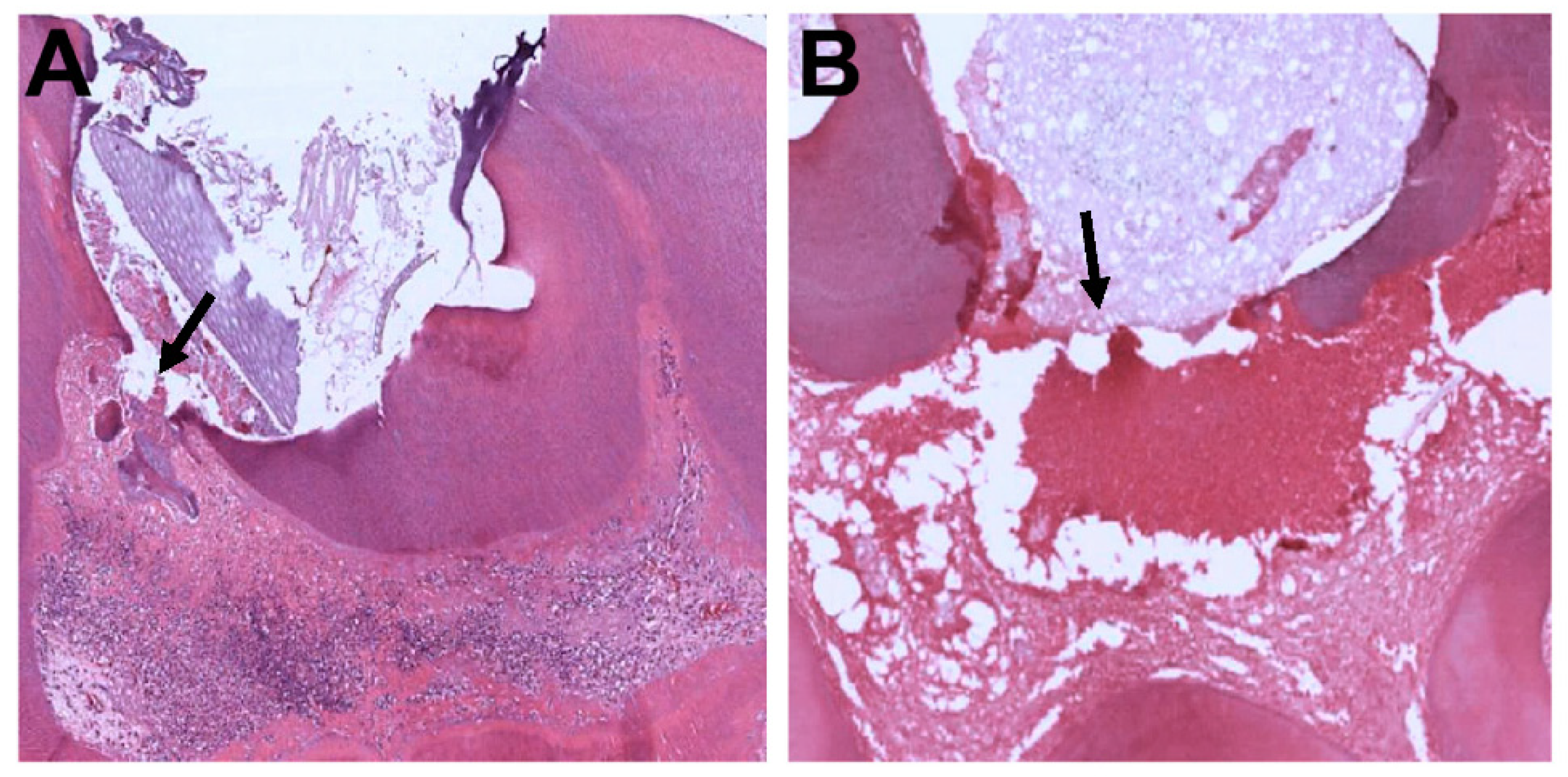 Applsci 11 03702 g001 Applsci 11 03702 g001