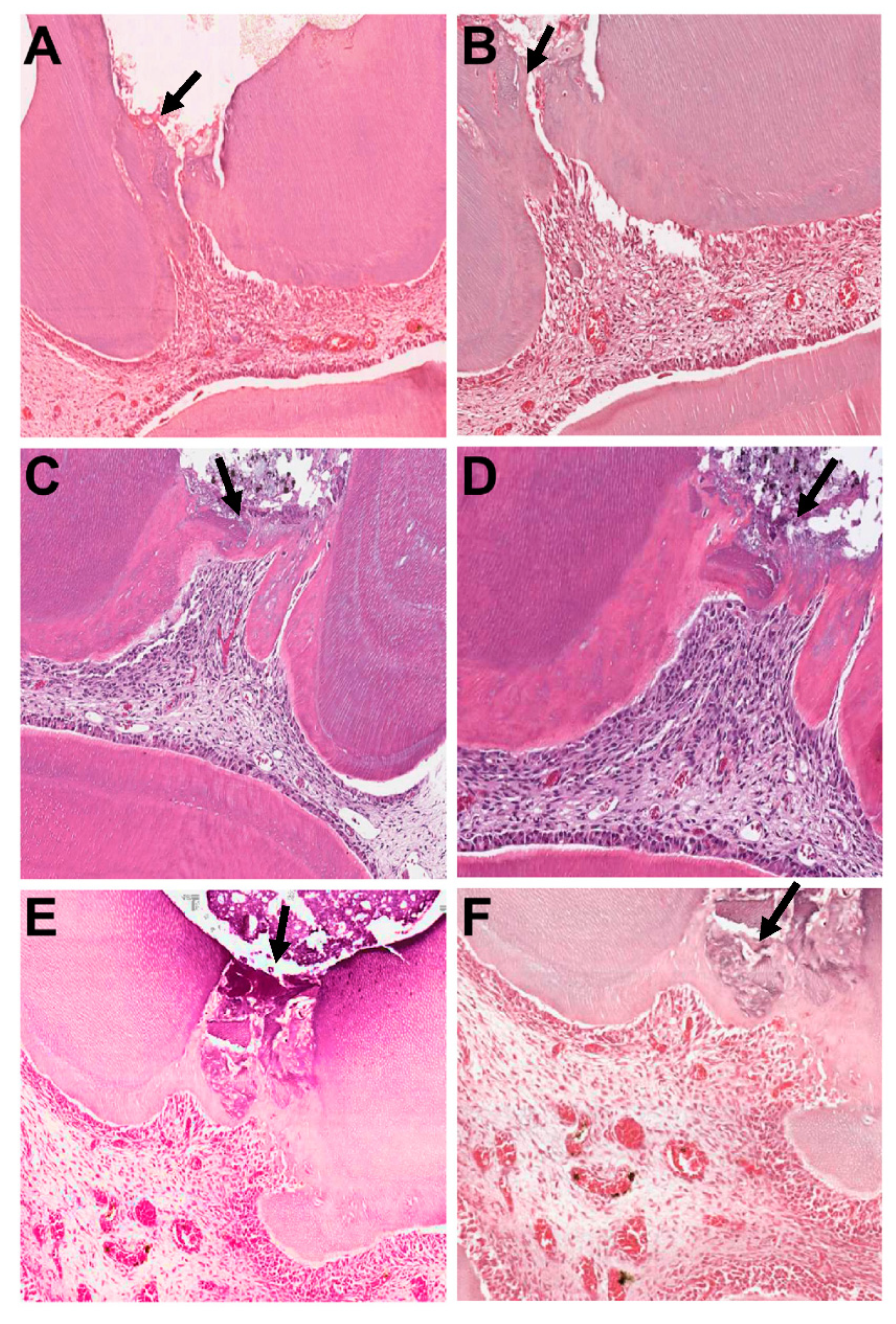 Applsci 11 03702 g002 Applsci 11 03702 g002