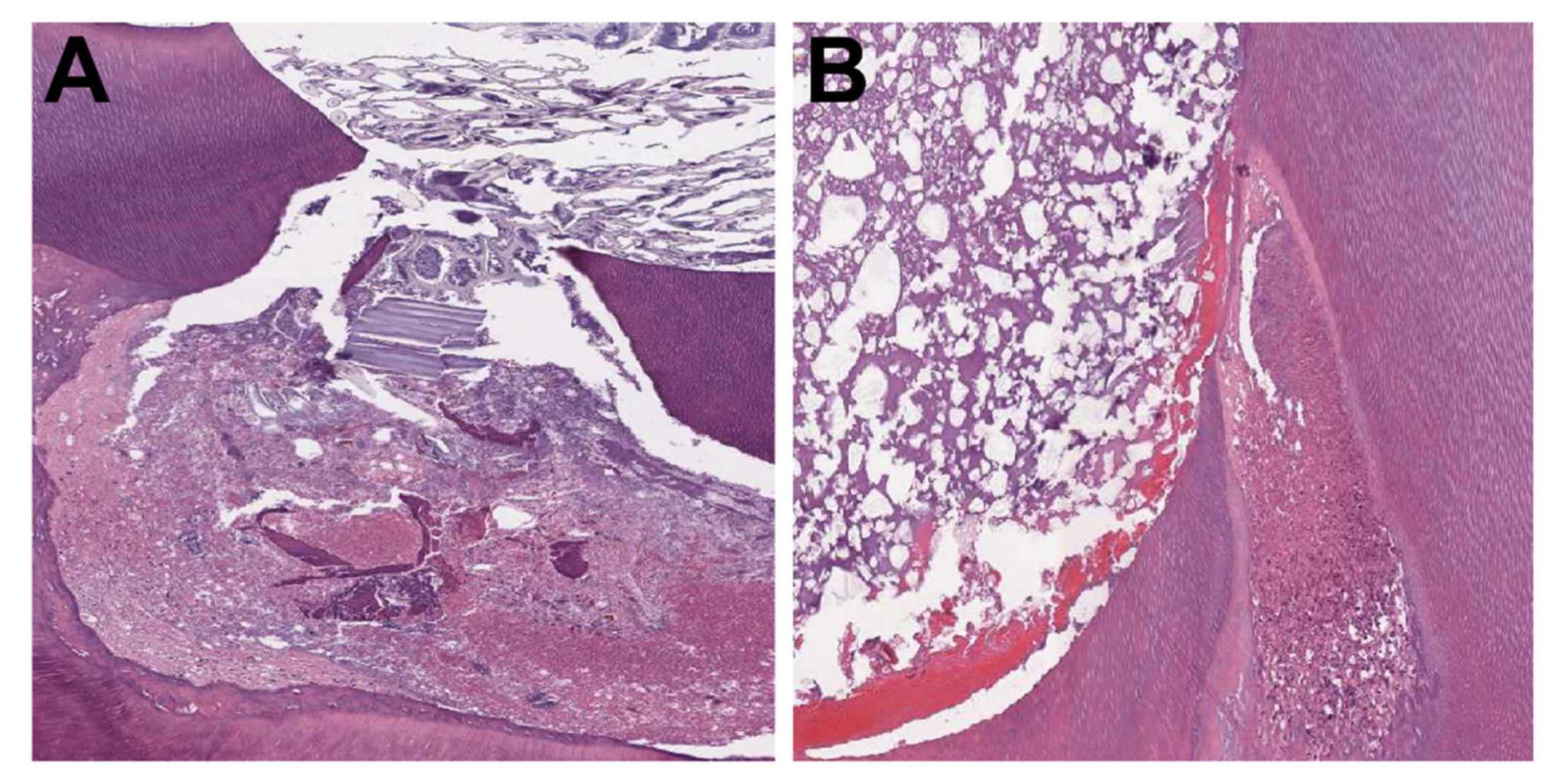 Applsci 11 03702 g003 Applsci 11 03702 g003