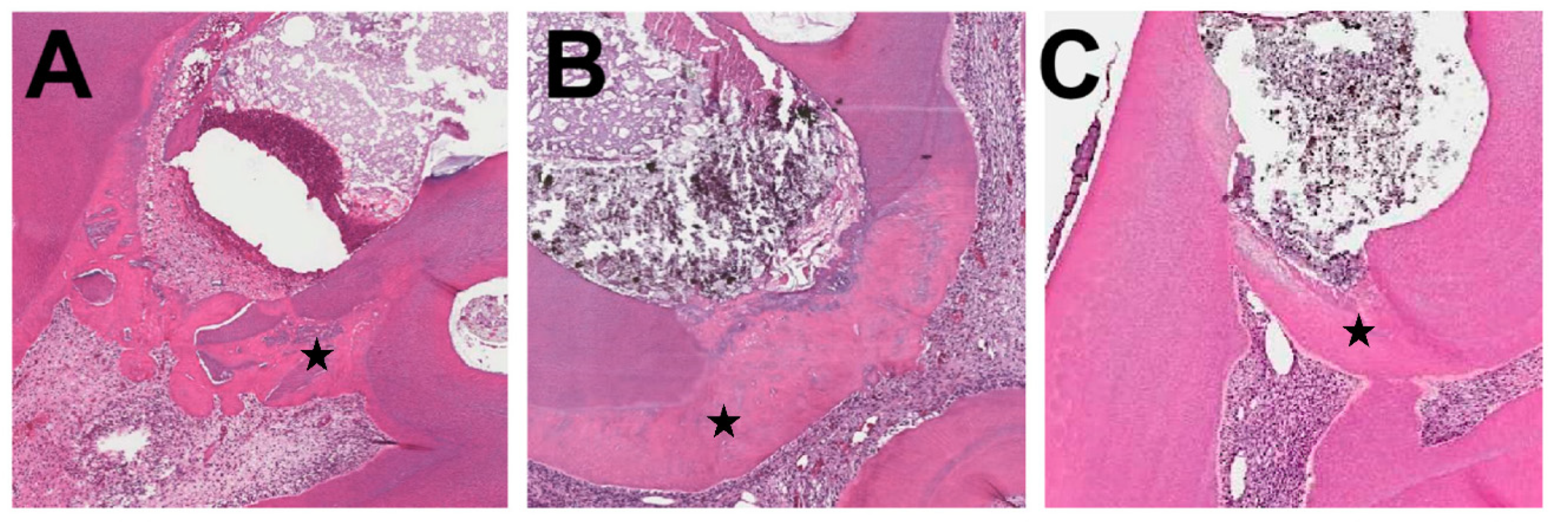 Applsci 11 03702 g004 Applsci 11 03702 g004