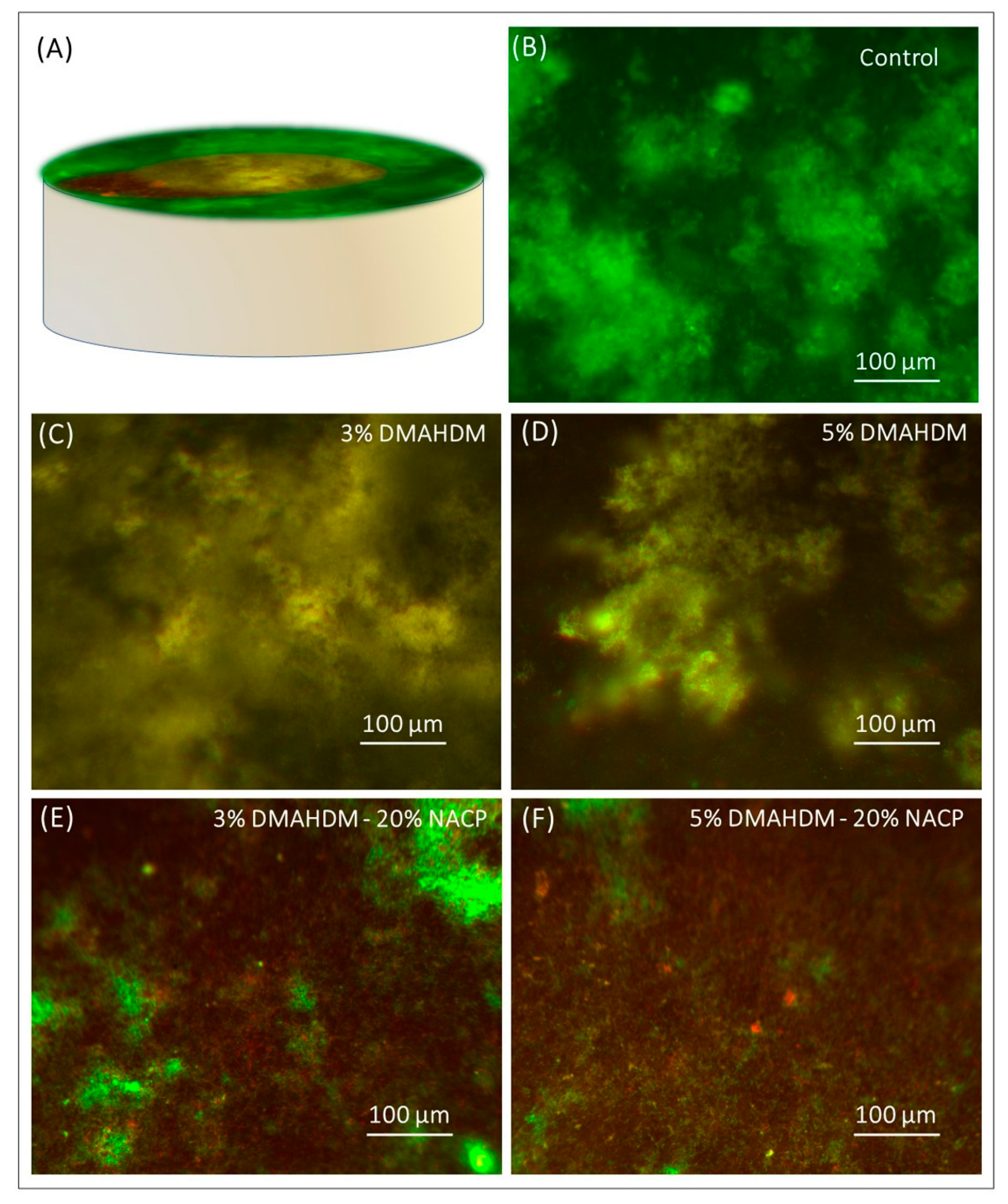 Applsci 11 03718 g005 Applsci 11 03718 g005