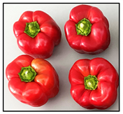 Applsci 11 03736 i001 Applsci 11 03736 i001