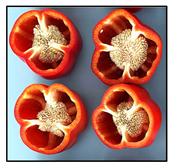 Applsci 11 03736 i002 Applsci 11 03736 i002