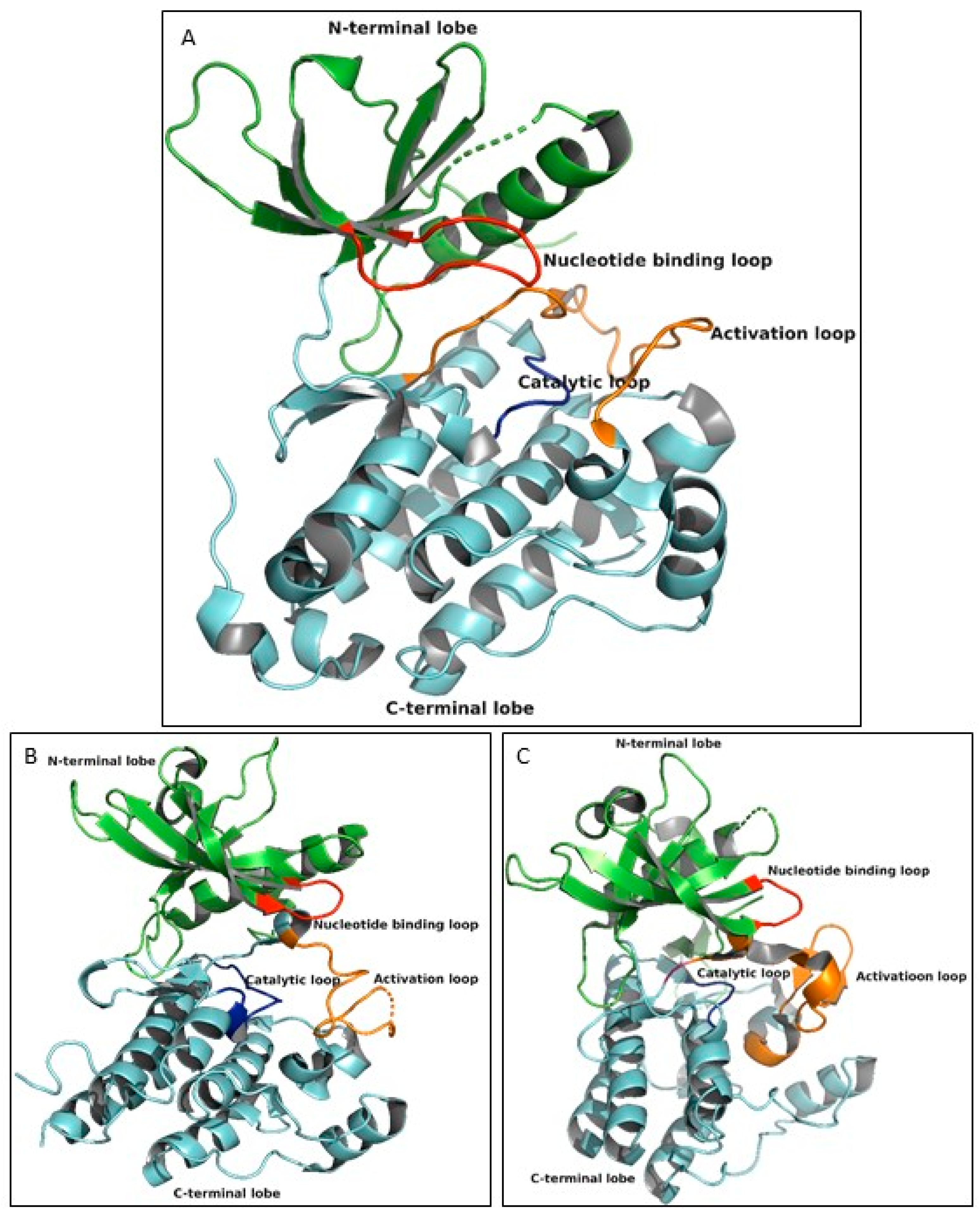 Applsci 11 03746 g002 Applsci 11 03746 g002