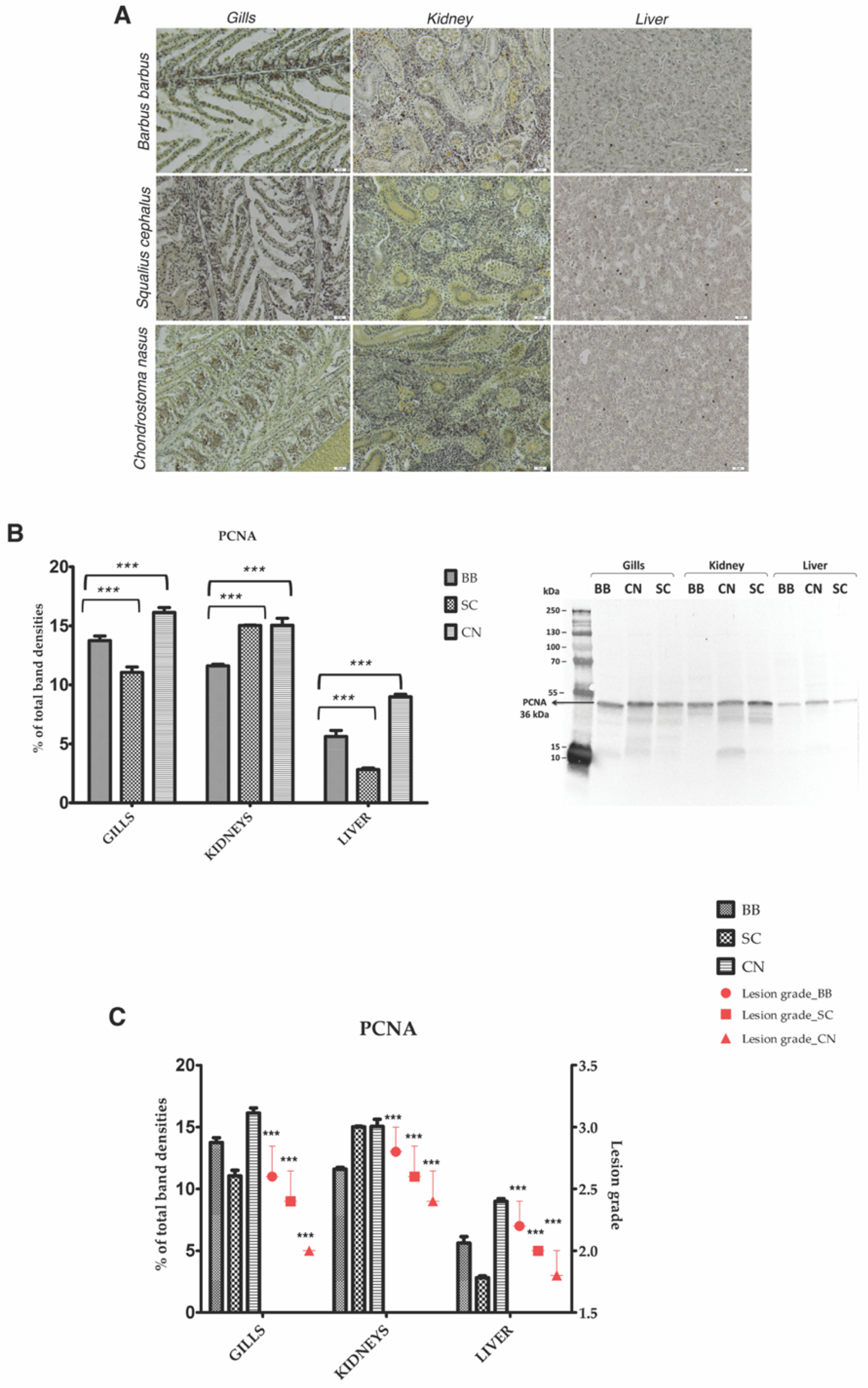 Applsci 11 03760 g006 Applsci 11 03760 g006