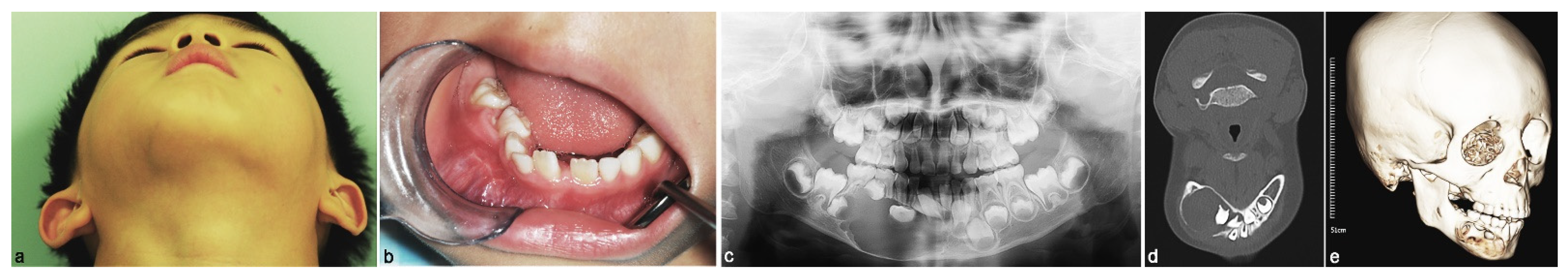 Applsci 11 03775 g001 Applsci 11 03775 g001