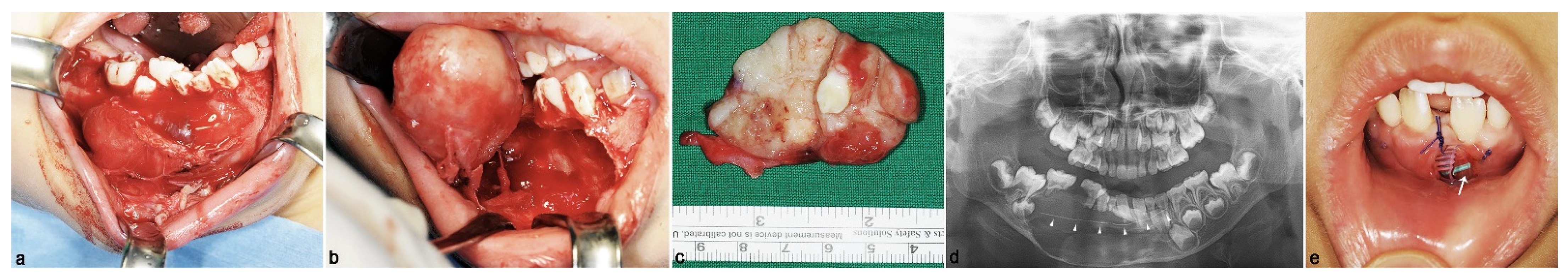 Applsci 11 03775 g002 Applsci 11 03775 g002