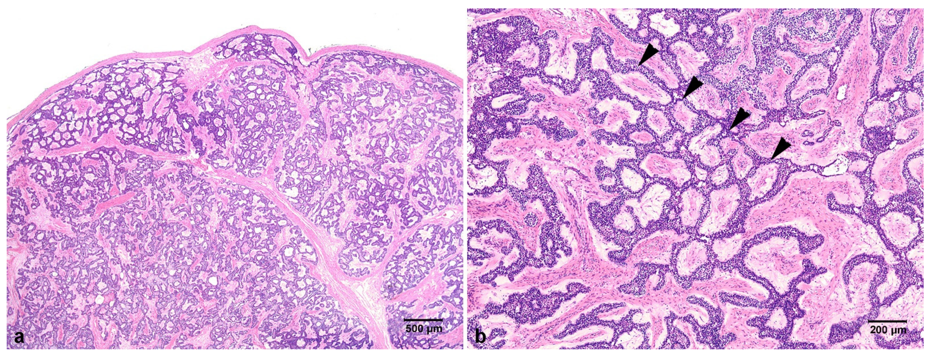 Applsci 11 03775 g003 Applsci 11 03775 g003