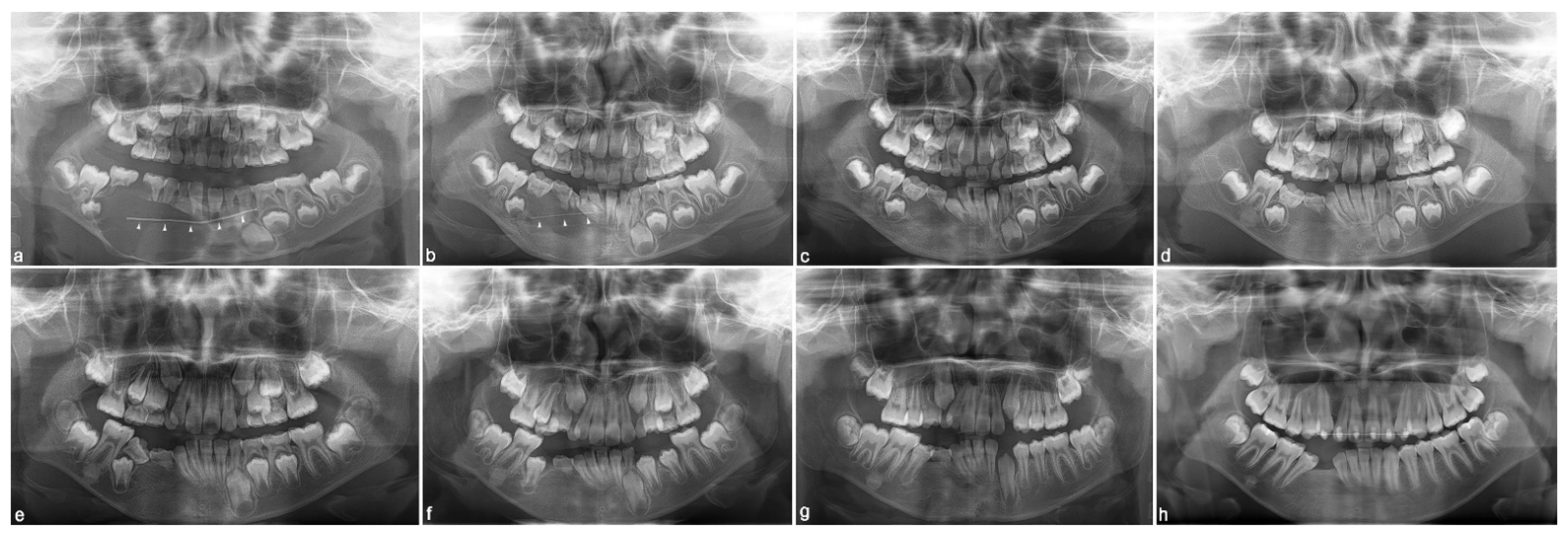 Applsci 11 03775 g004 Applsci 11 03775 g004
