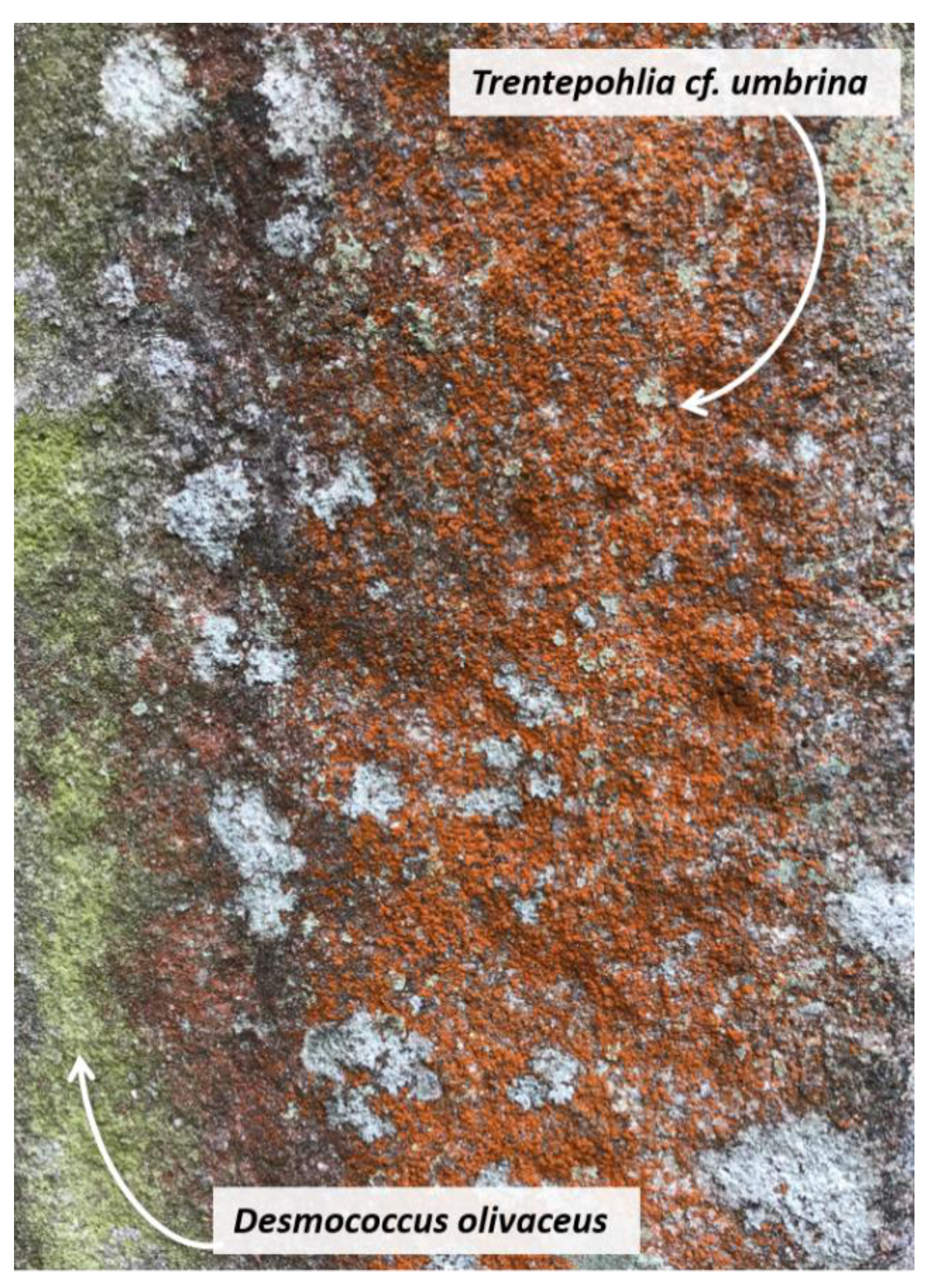 Applsci 11 03786 g003