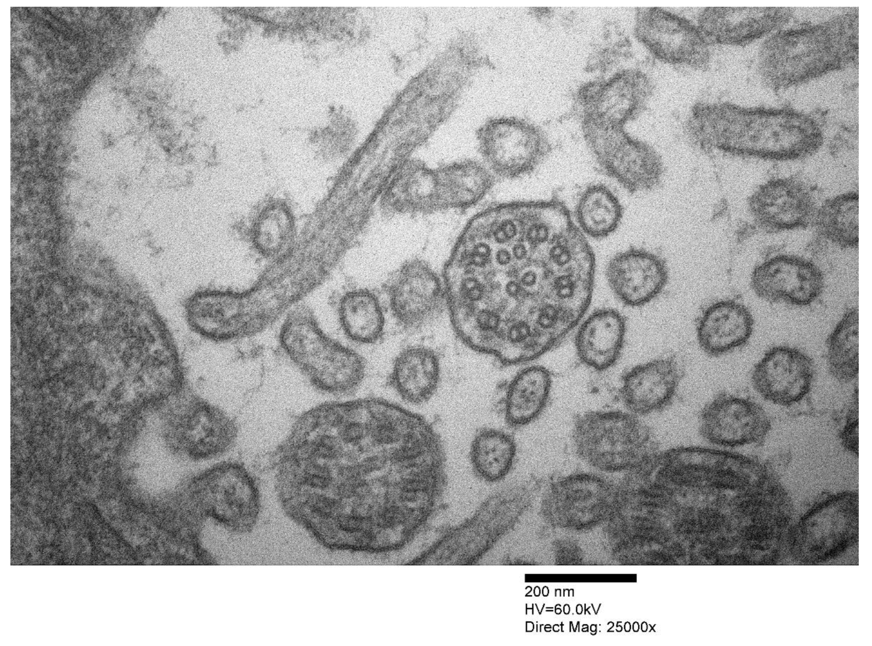 Applsci 11 03818 g003