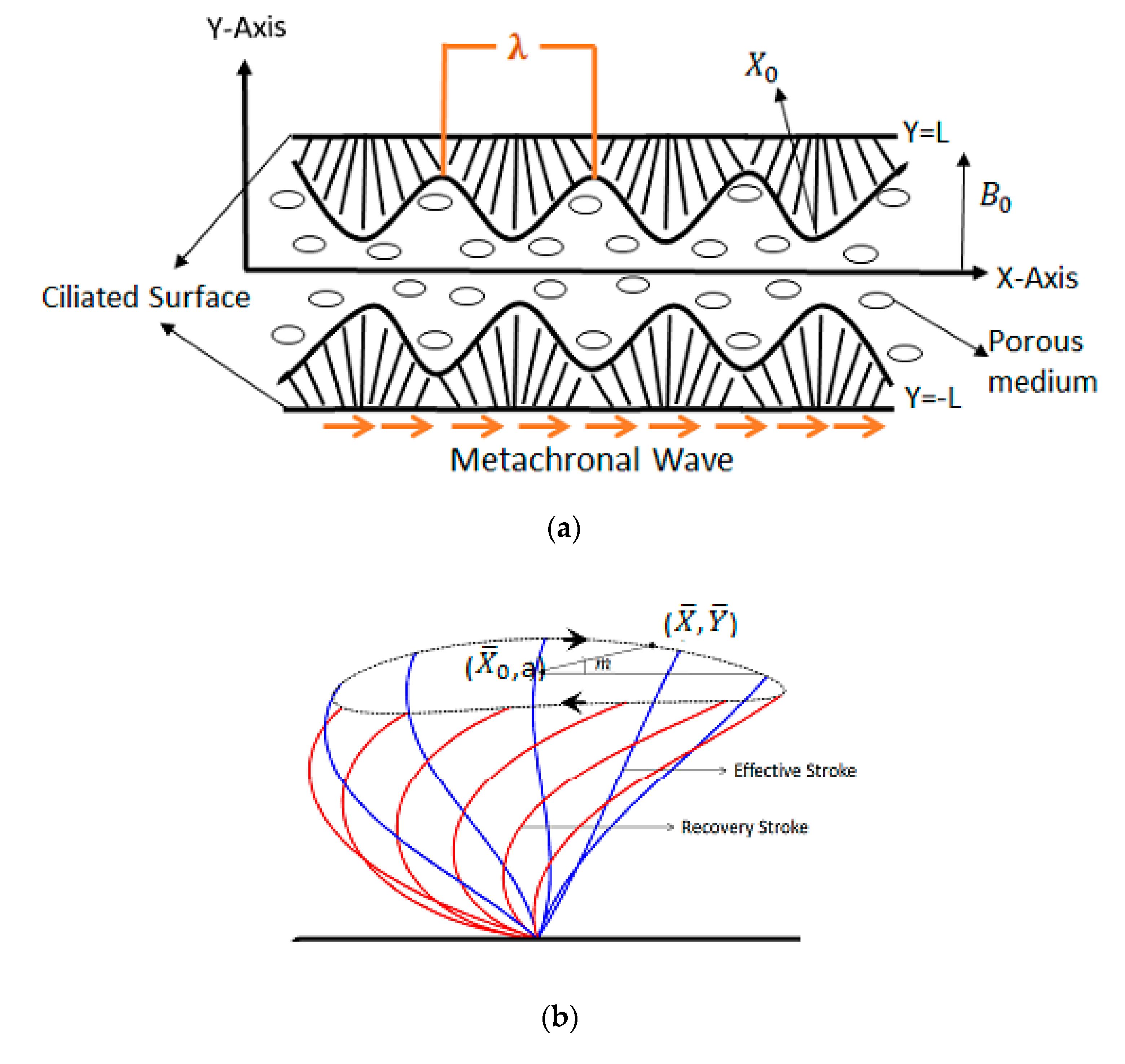 Applsci 11 03819 g001