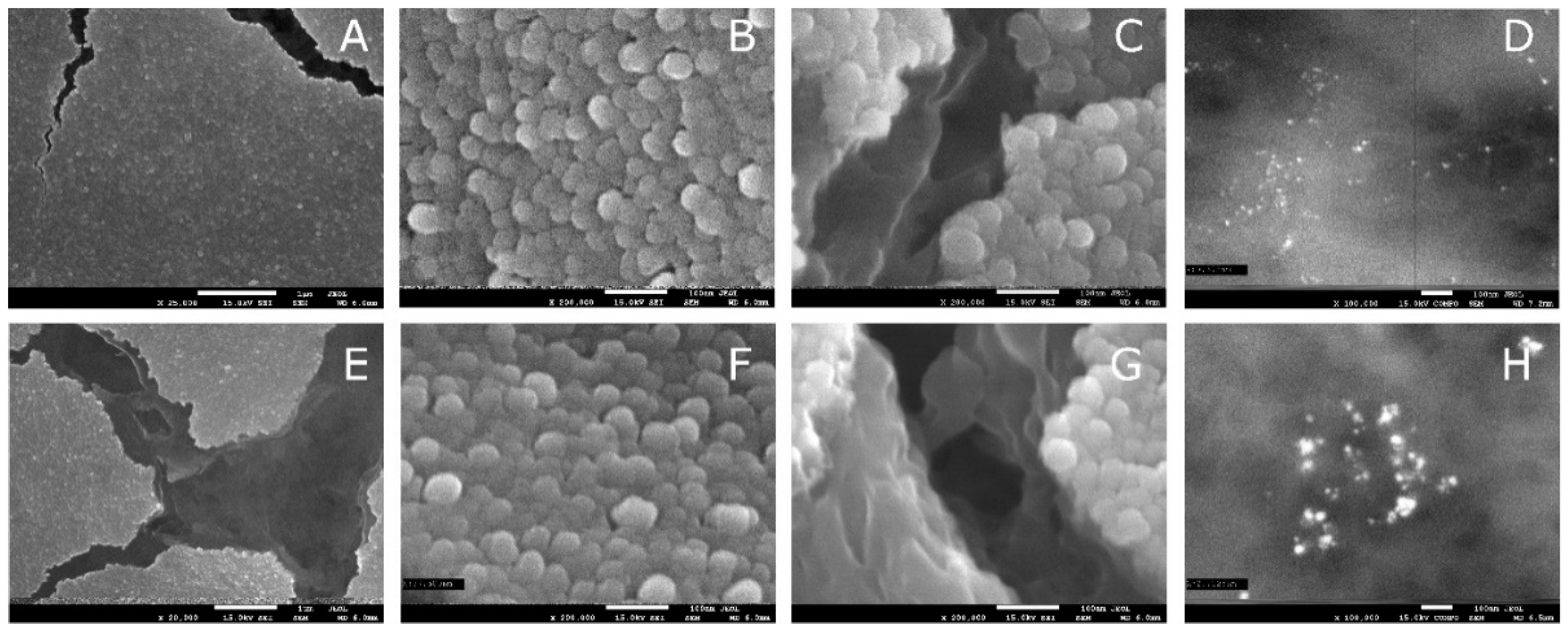 Applsci 11 03857 g002 Applsci 11 03857 g002