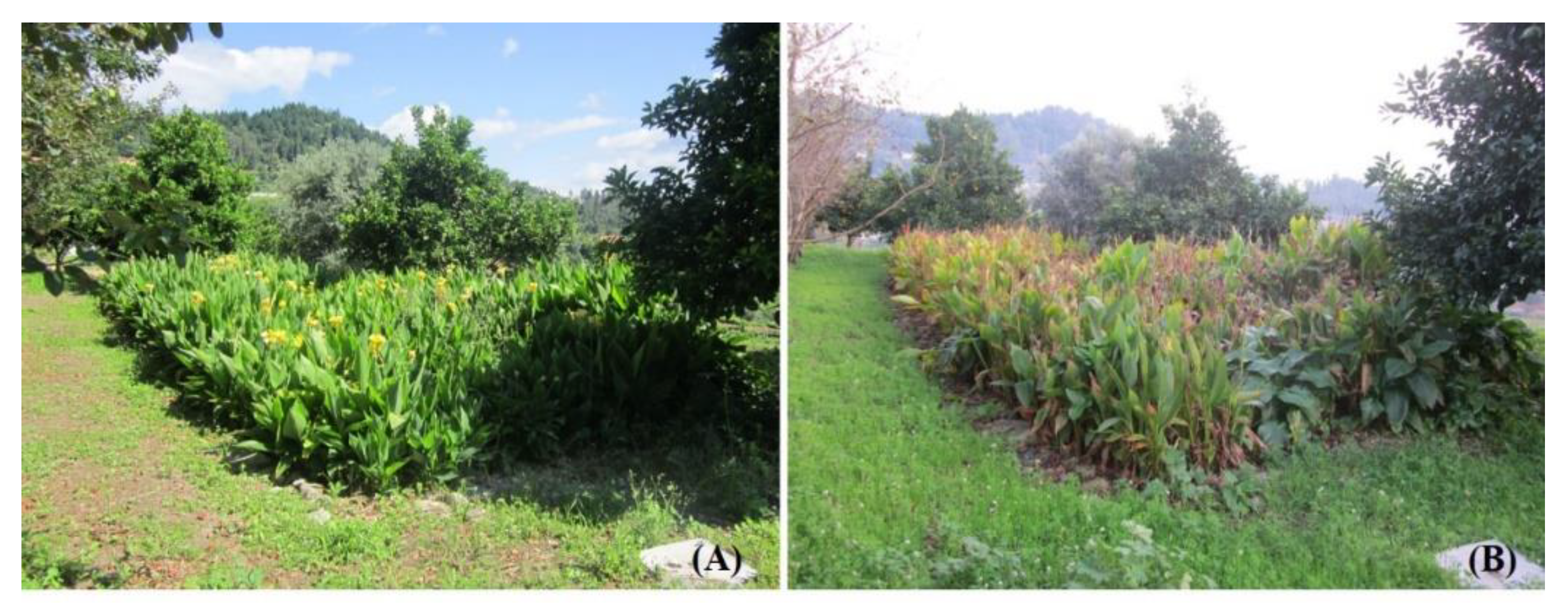 Applsci 11 03875 g001 Applsci 11 03875 g001