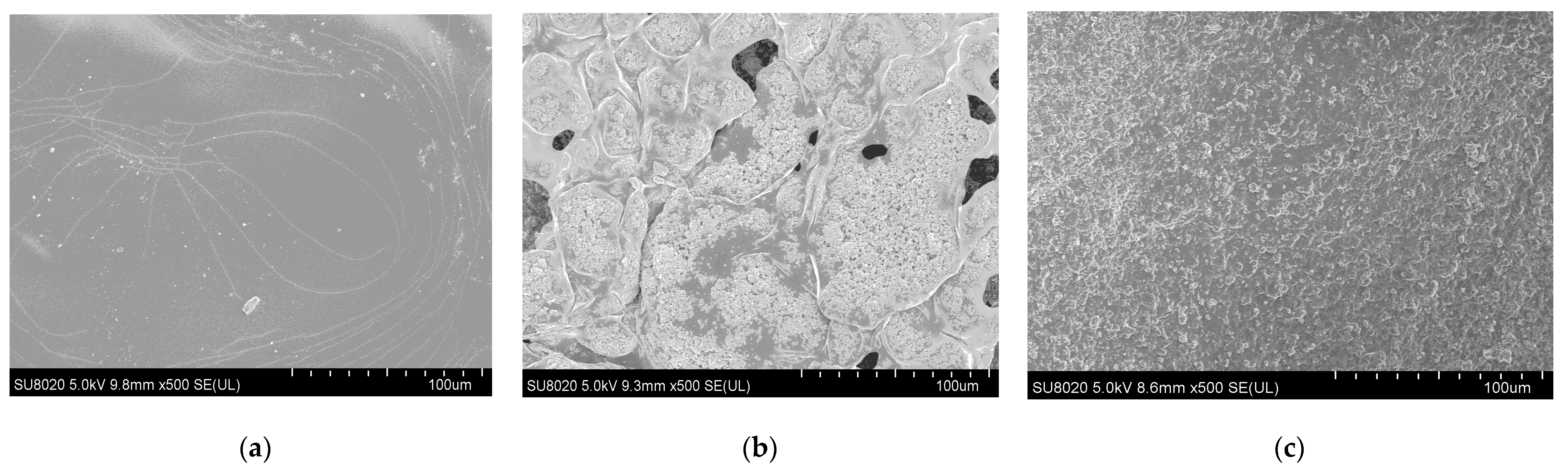 Applsci 11 03879 g001 Applsci 11 03879 g001