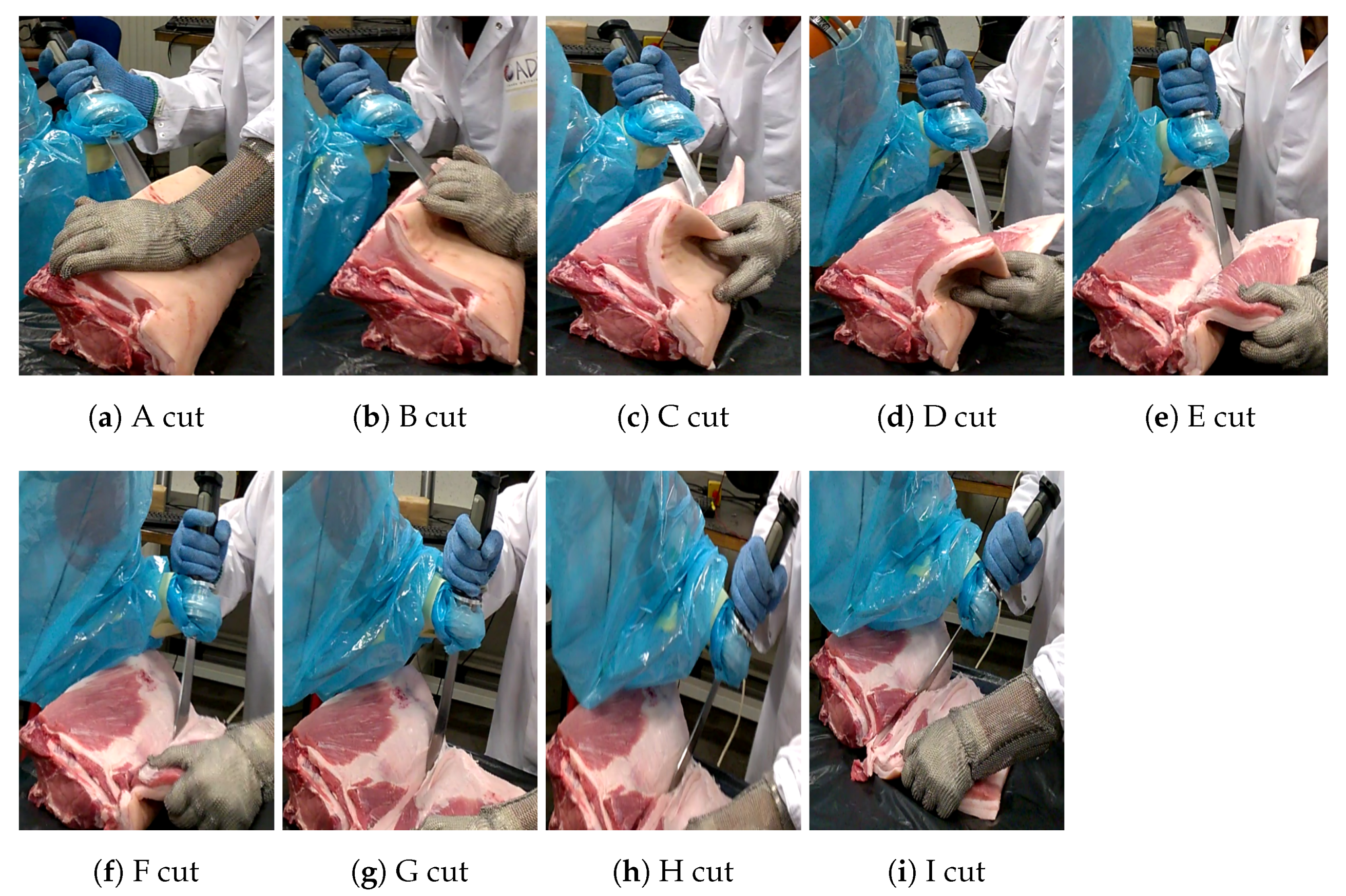 Applsci 11 03907 g019 Applsci 11 03907 g019