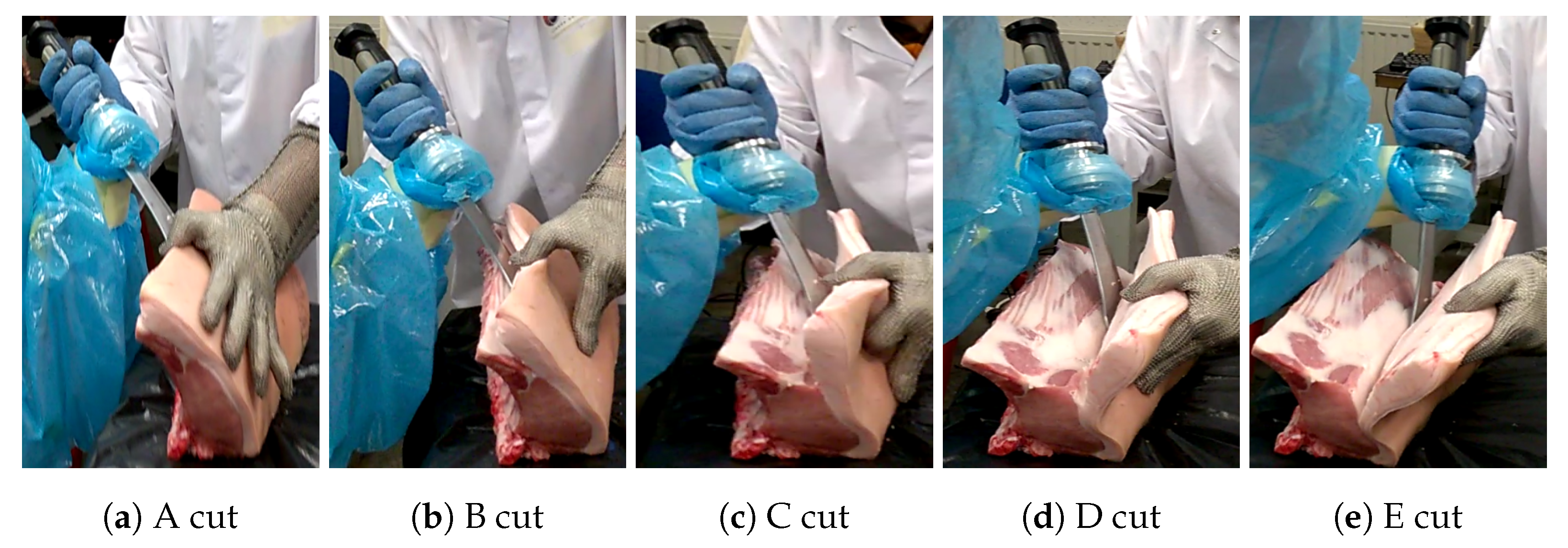 Applsci 11 03907 g021 Applsci 11 03907 g021