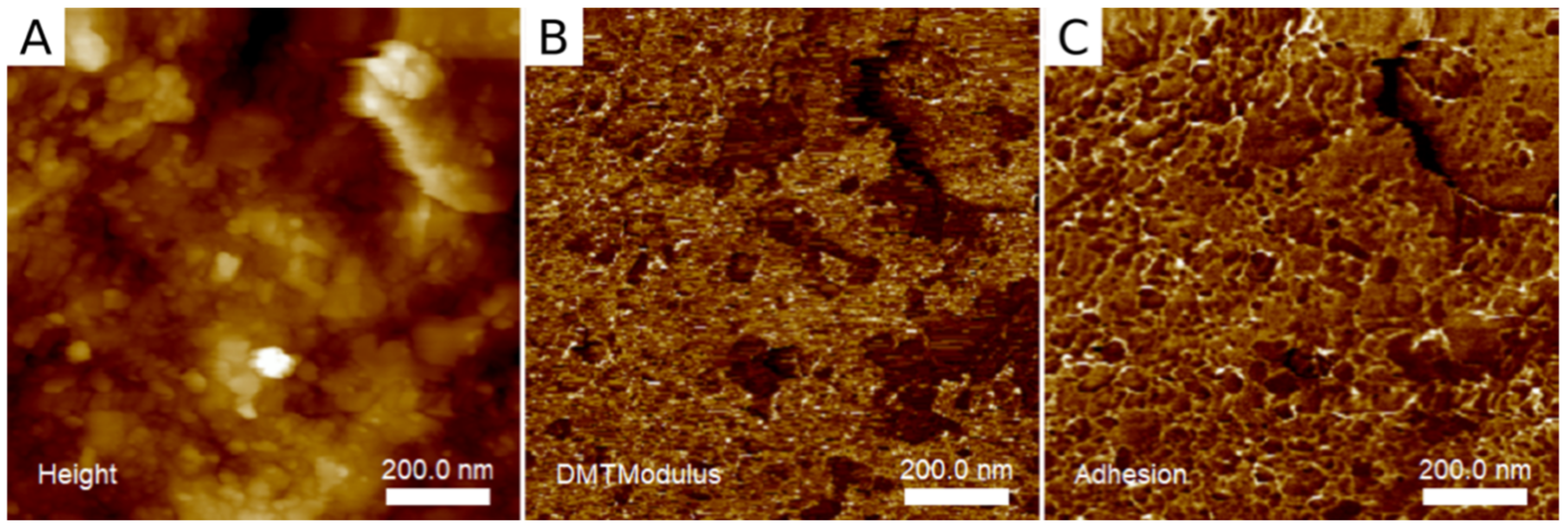 Applsci 11 03918 g001 Applsci 11 03918 g001