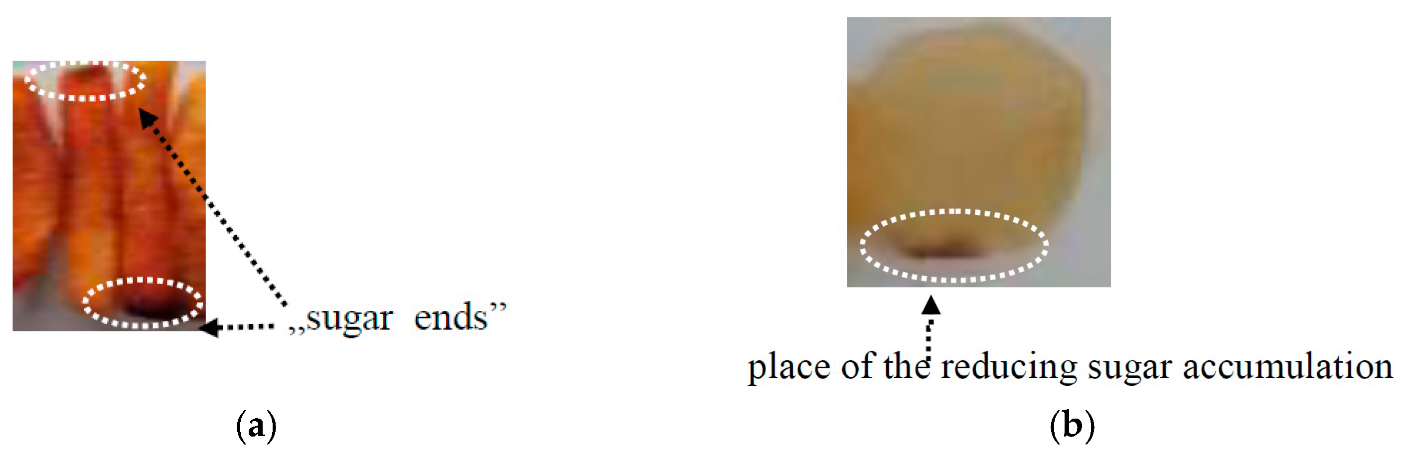 Applied Sciences Free FullText Characteristics of French Fries and Potato Chips in Aspect