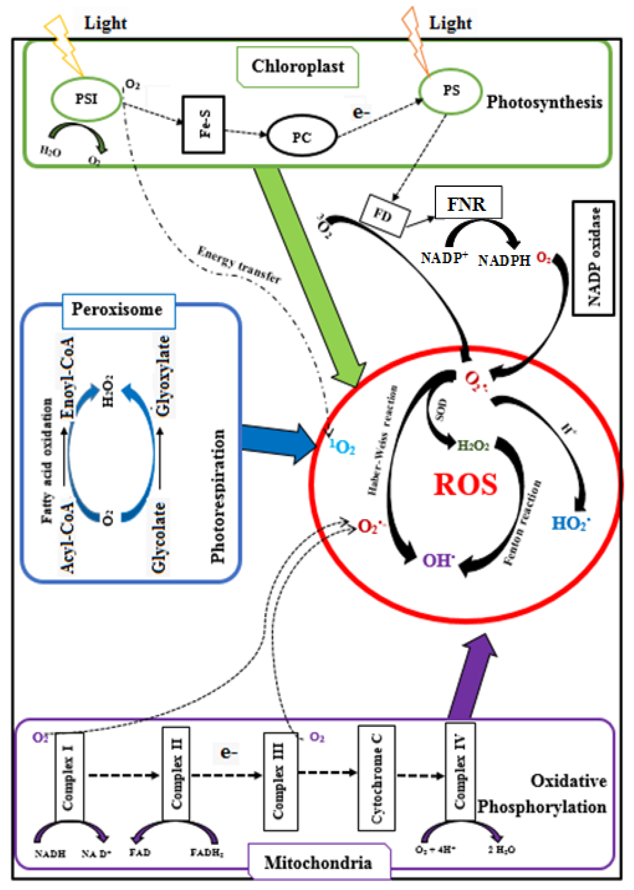 Applsci 11 03959 g002 Applsci 11 03959 g002